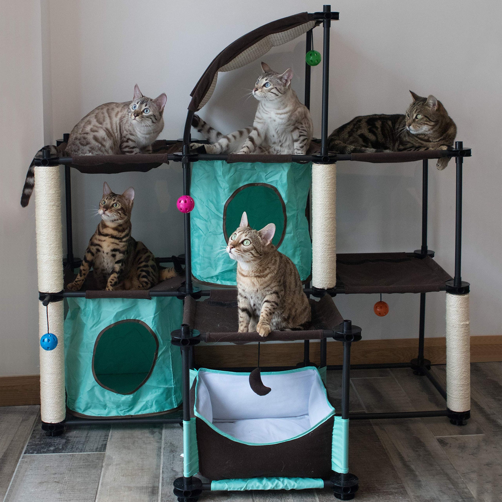 Kitty City Garra de acero Mega Kit muebles para gato, condominio para gato Duplex con juguete, Mega Kit-Green