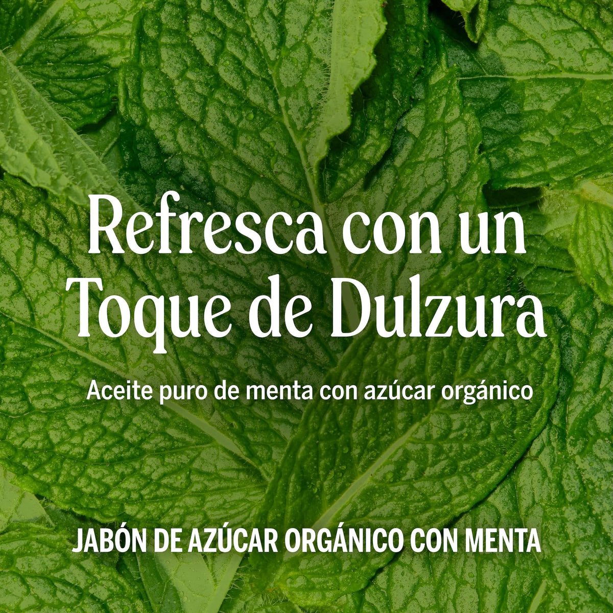 Dr. Bronner's | Jabón de azúcar orgánico líquido, fórmula hidratante y vegana para manos, cuerpo y rostro - Menta, 355 ml