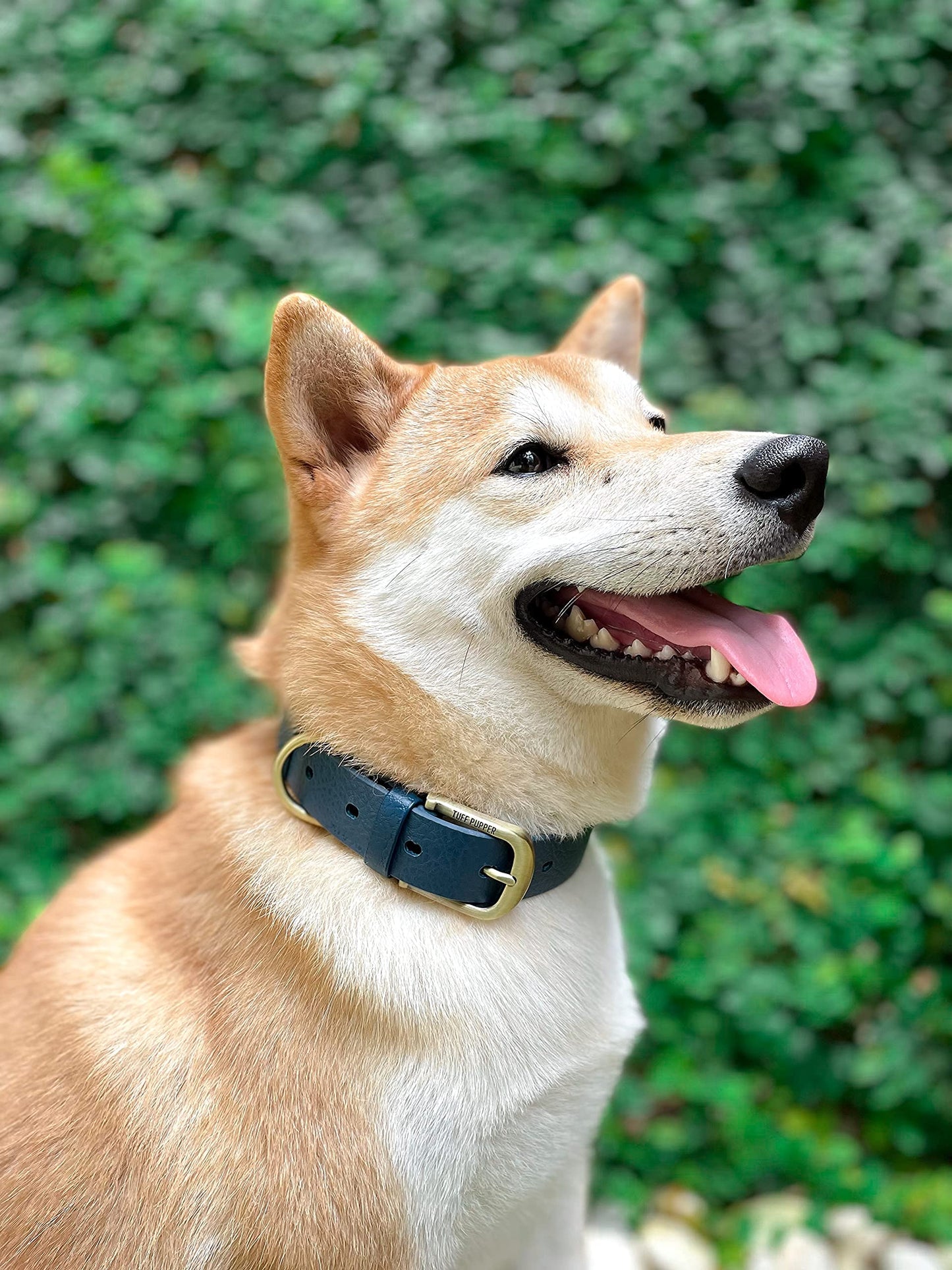 Tuff Pupper Collar para perro clásico 'Lifetime' resistente, más fuerte que el cuero, impermeable y sin olor, garantizado de por vida
