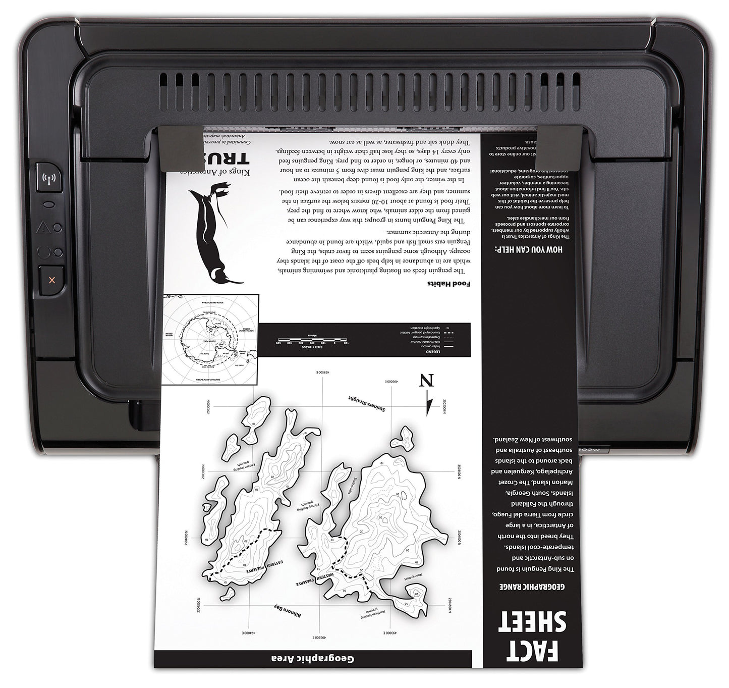 HP LaserJet Pro P1102w Impresora láser inalámbrica (CE658A) (renovada)