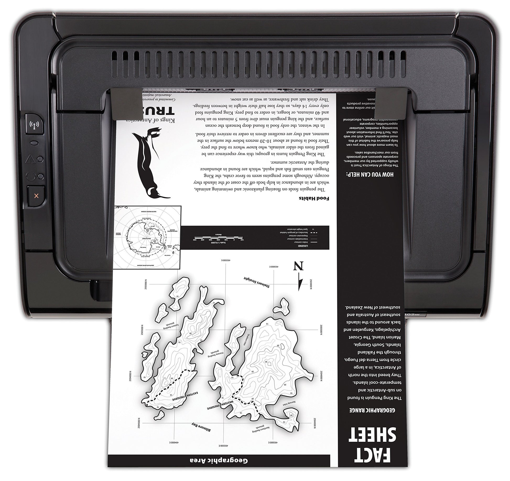 HP LaserJet Pro P1102w Impresora láser inalámbrica (CE658A) (renovada)