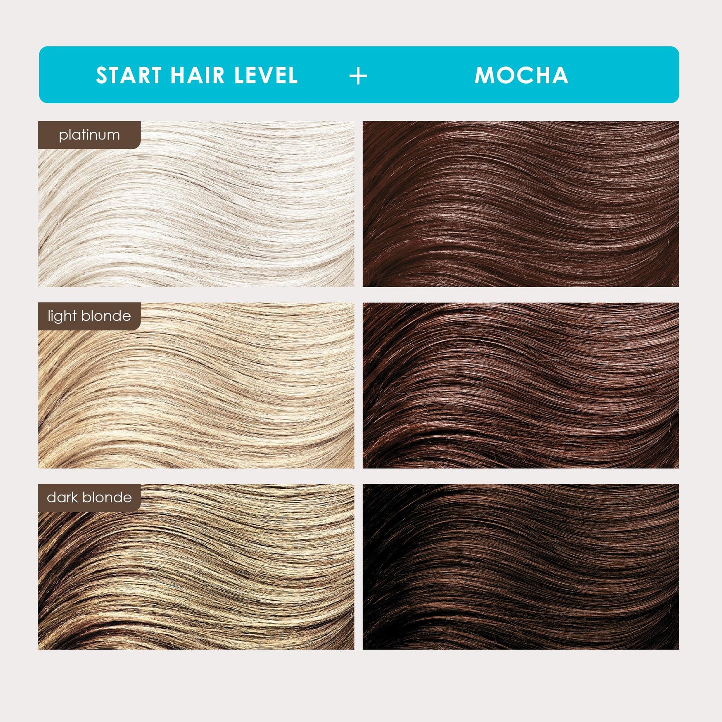 Keracolor Clenditioner Mocha, 12 fl. oz.