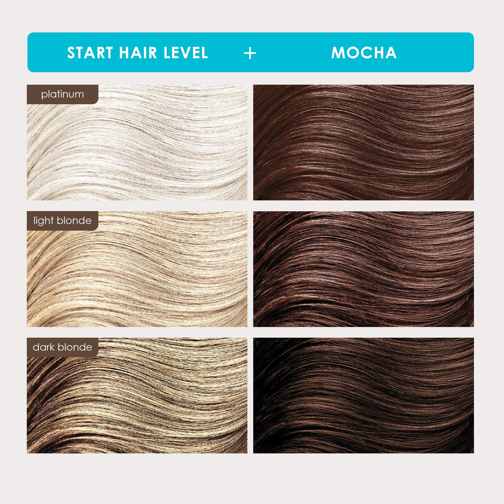 Keracolor Clenditioner Mocha, 12 fl. oz.