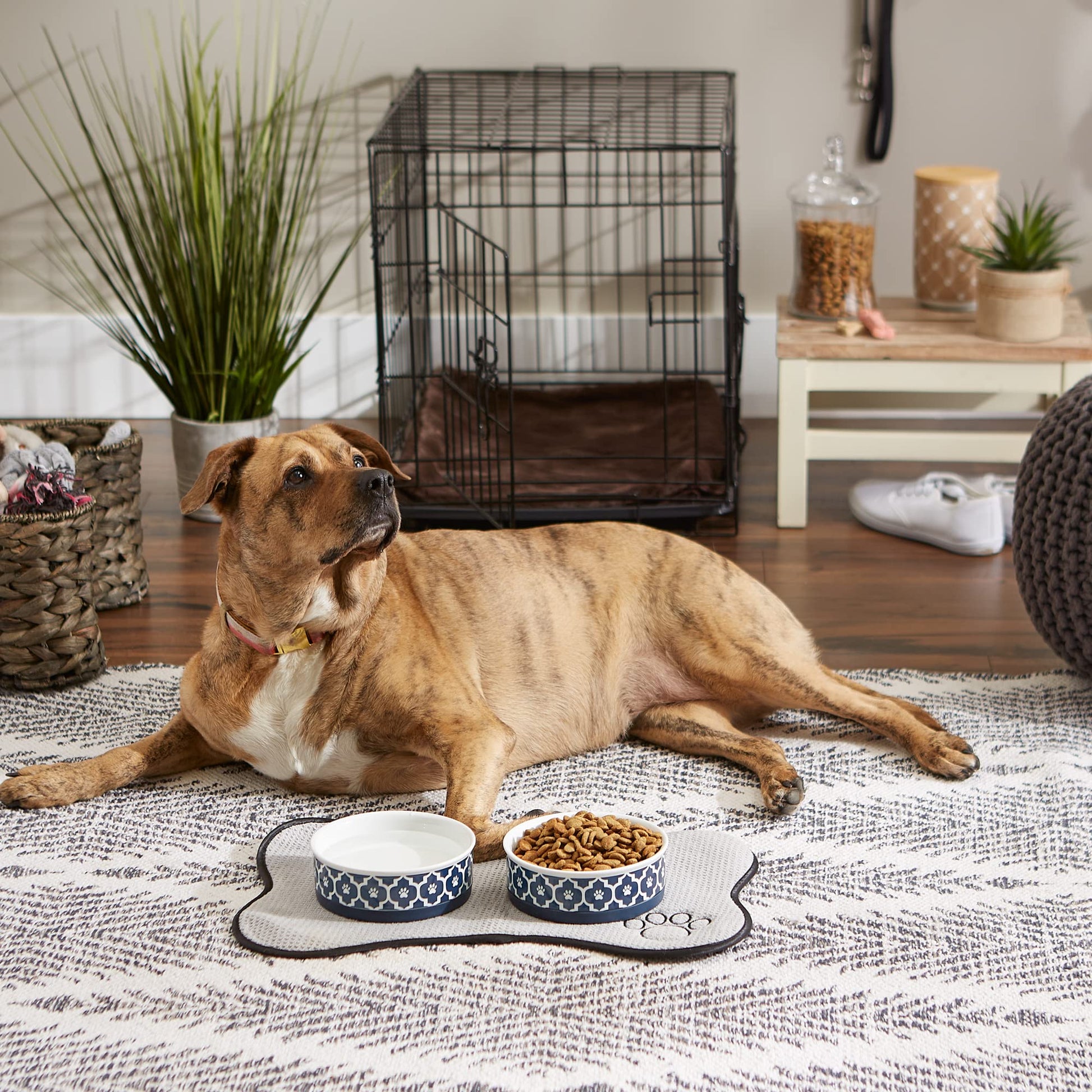 DII Bone Dry Lattice Ceramic Pet Bowl for Food & Water with Non-Skid Silicone Rim for Dogs and Cats (Medium - 6" Dia x 2"H) Nautical Blue - Set of 2