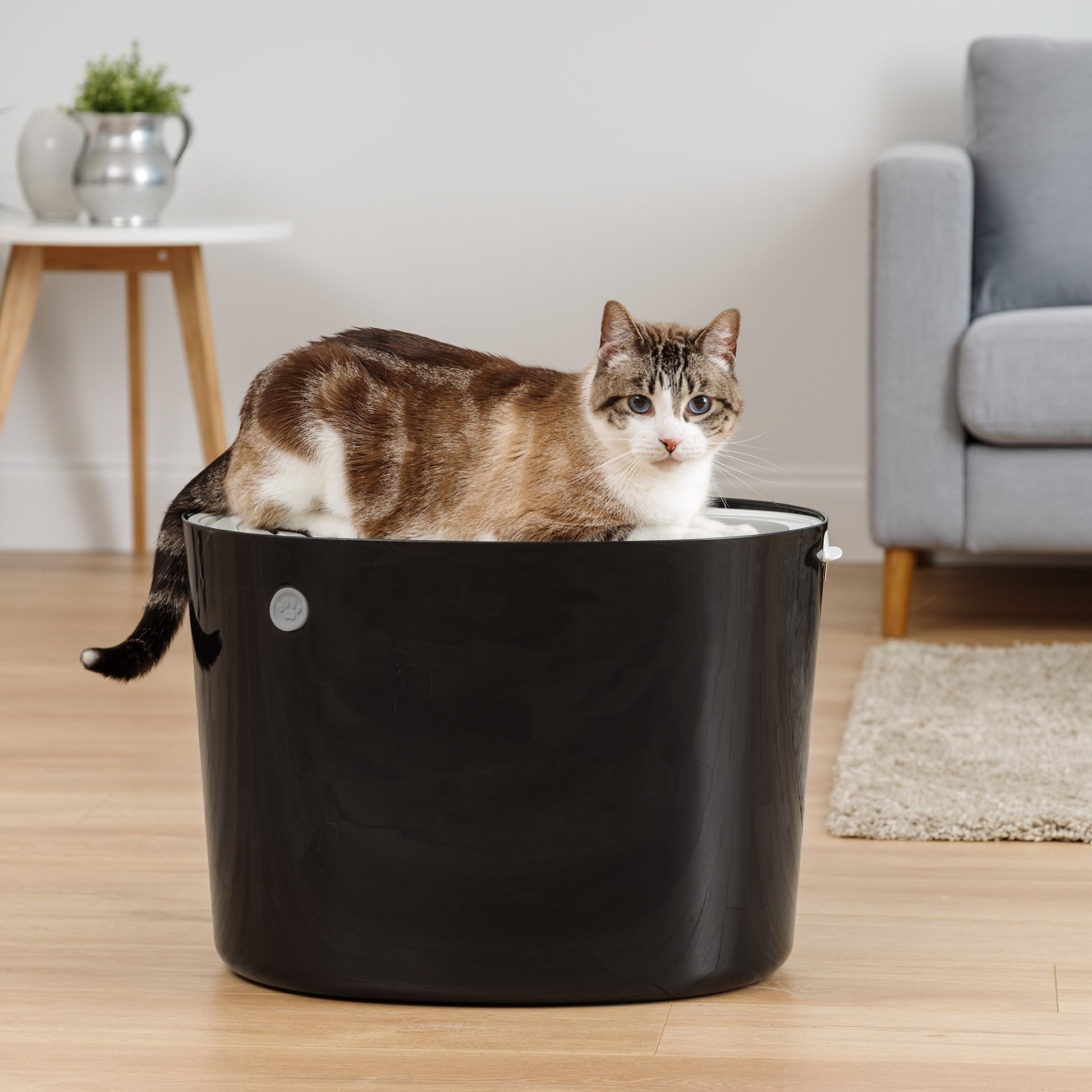 IRIS USA Gran arenero para gatos con entrada superior y pala, elegante caja redonda para gatos, arenero para gatitos, Negro/Gris
