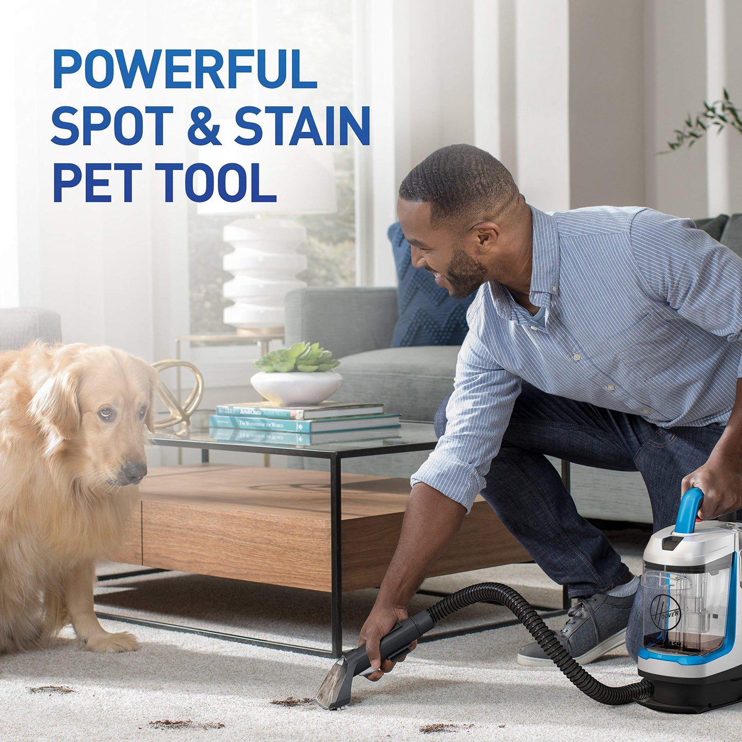 Limpiador de Manchas Hoover PowerDash Go Azul portátil para Mascotas y hogar