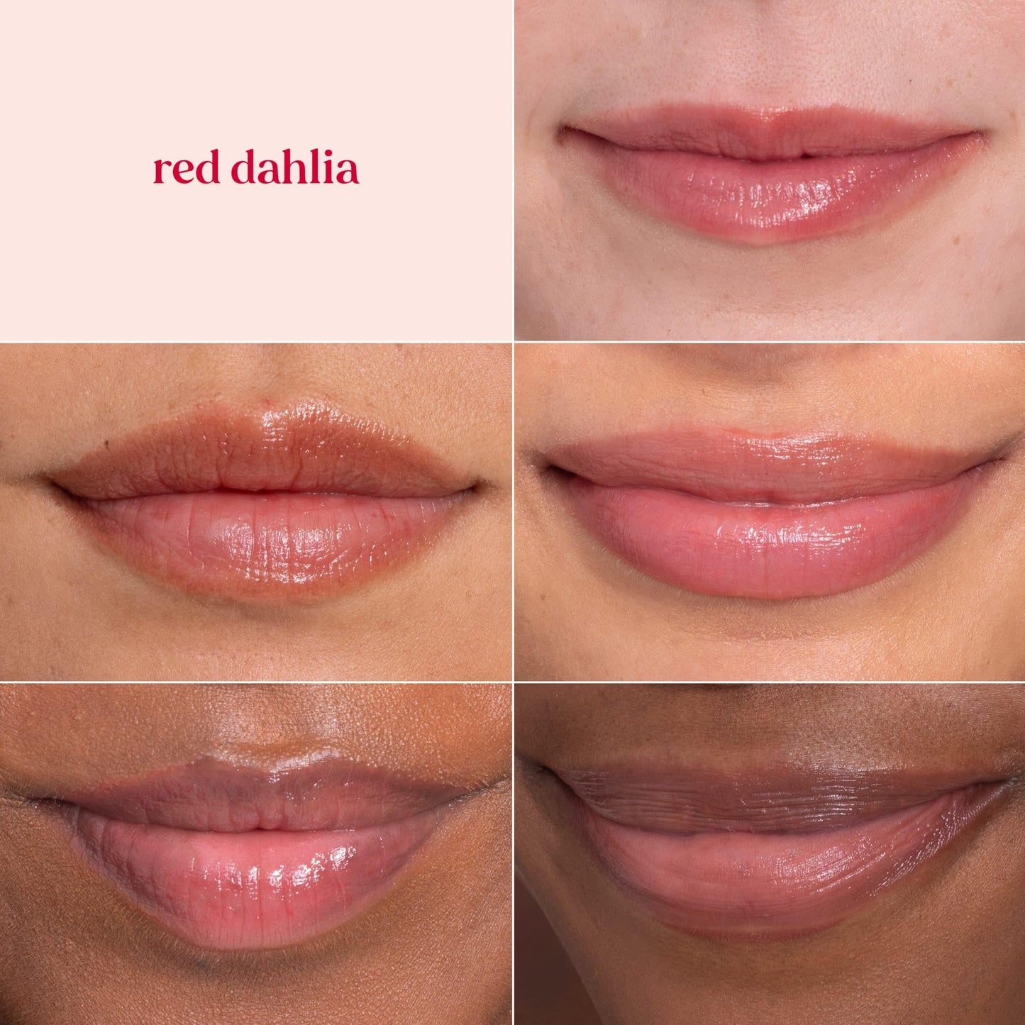 Bálsamo labial tintado natural Burt's Bees, rojo (Red dahlia), 2 unidades
