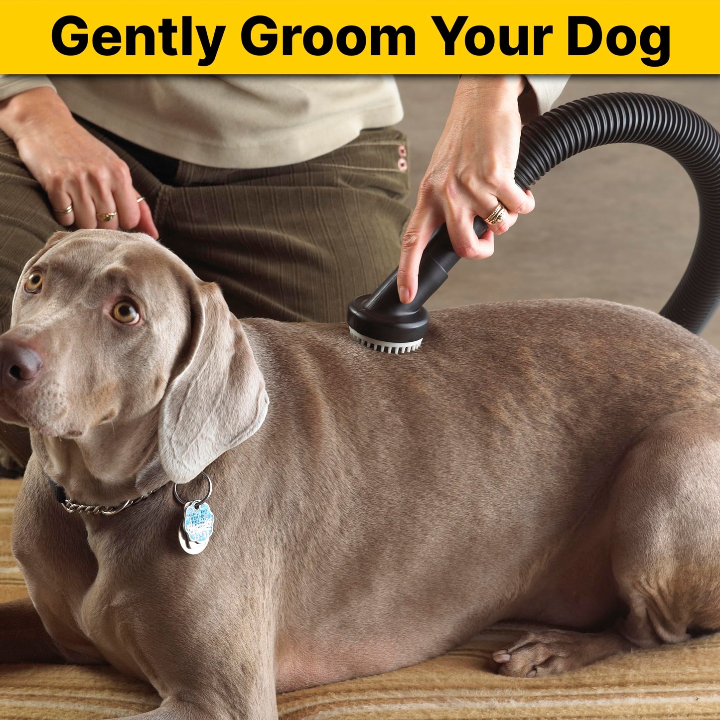 Herramienta de Aseo para Perros Shop-Vac 9190400 cerdas Suaves y aspiración de Mascotas