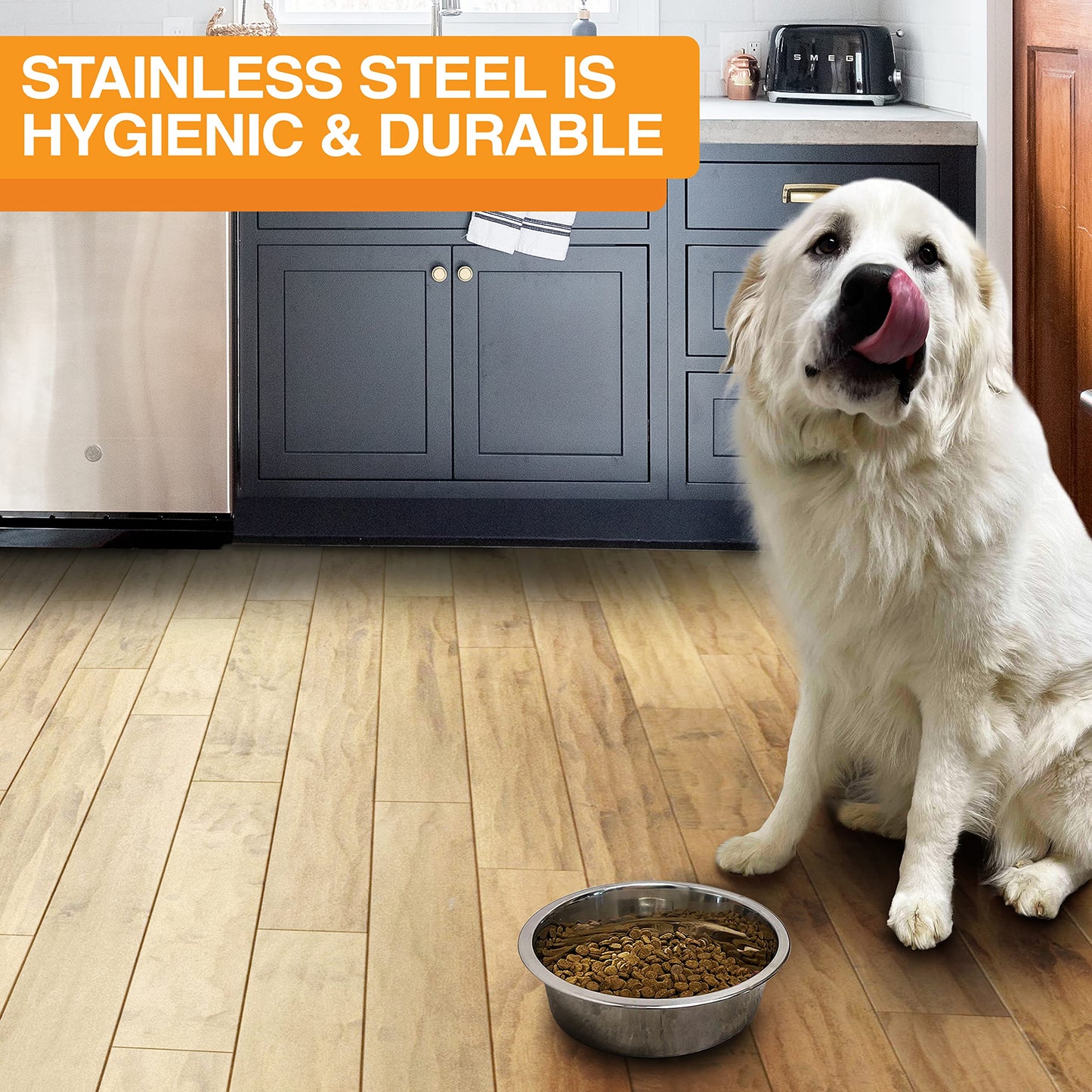 Cuencos de Acero Inoxidable Neater Pet Brands Grande de Lujo extra de Repuesto para Perros y Gatos