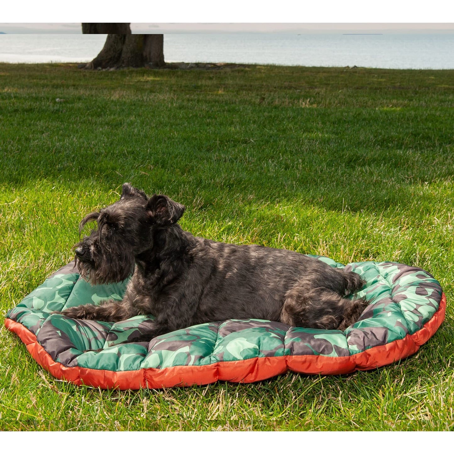 Furhaven Small Dog Bed Trail Pup Travel Pillow Mat w/Stuff Sack, Washable - Paprika/Camo-Paw, Small