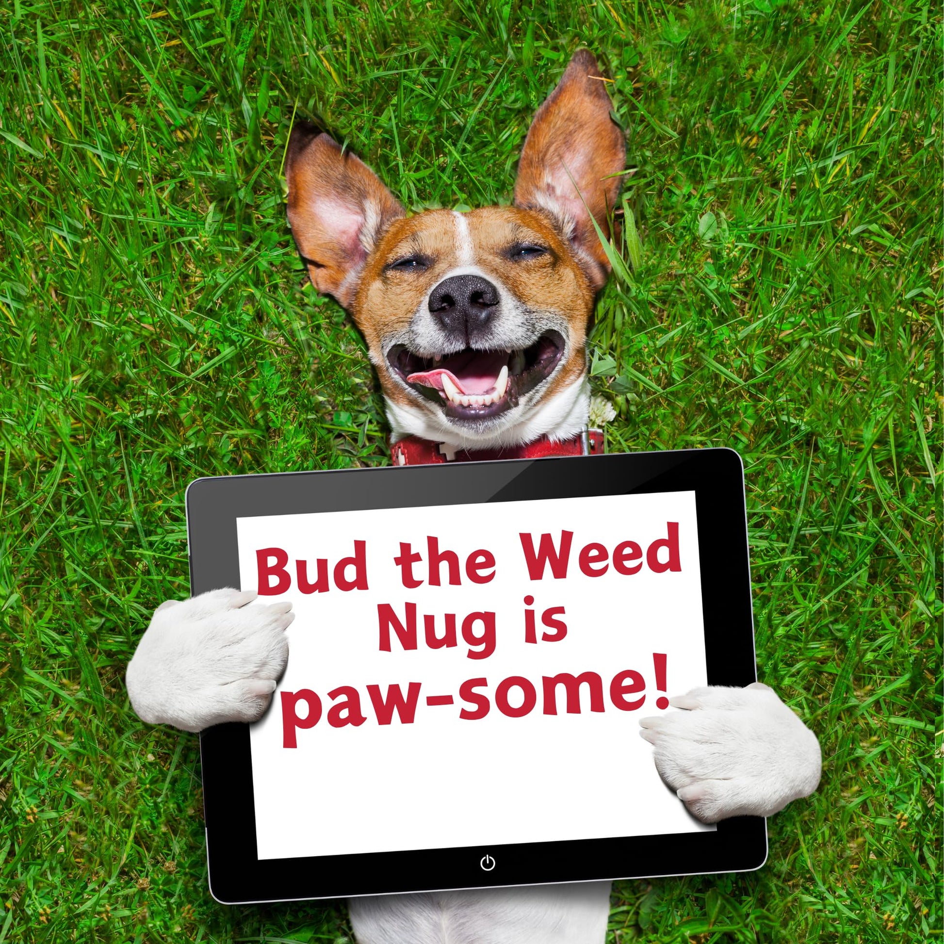Juguete para perro con 20 brotes The Weed Nug 420