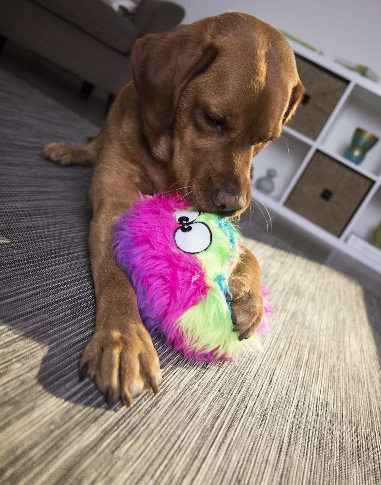 goDog Furballz - Pelota de Peluche chirriante para Perro, tecnología de protección masticable, Arco Iris, Grande