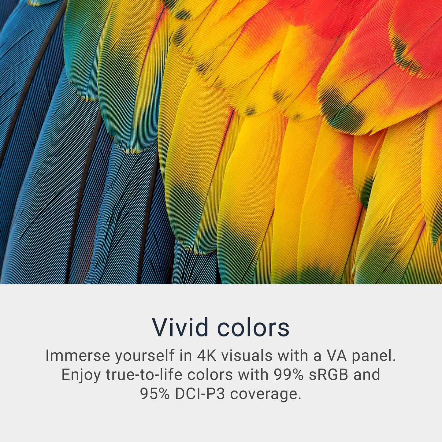 Monitor Dell 32 Plus 4K - S3225QS - visualización 4K de 31.5" (3840 x 2160) hasta 120Hz 16:9, panel VA, AMD FreeSync Premium, 99% sRGB, 95% DCI-P3, relación de contraste 1500:1, Comfortview Plus