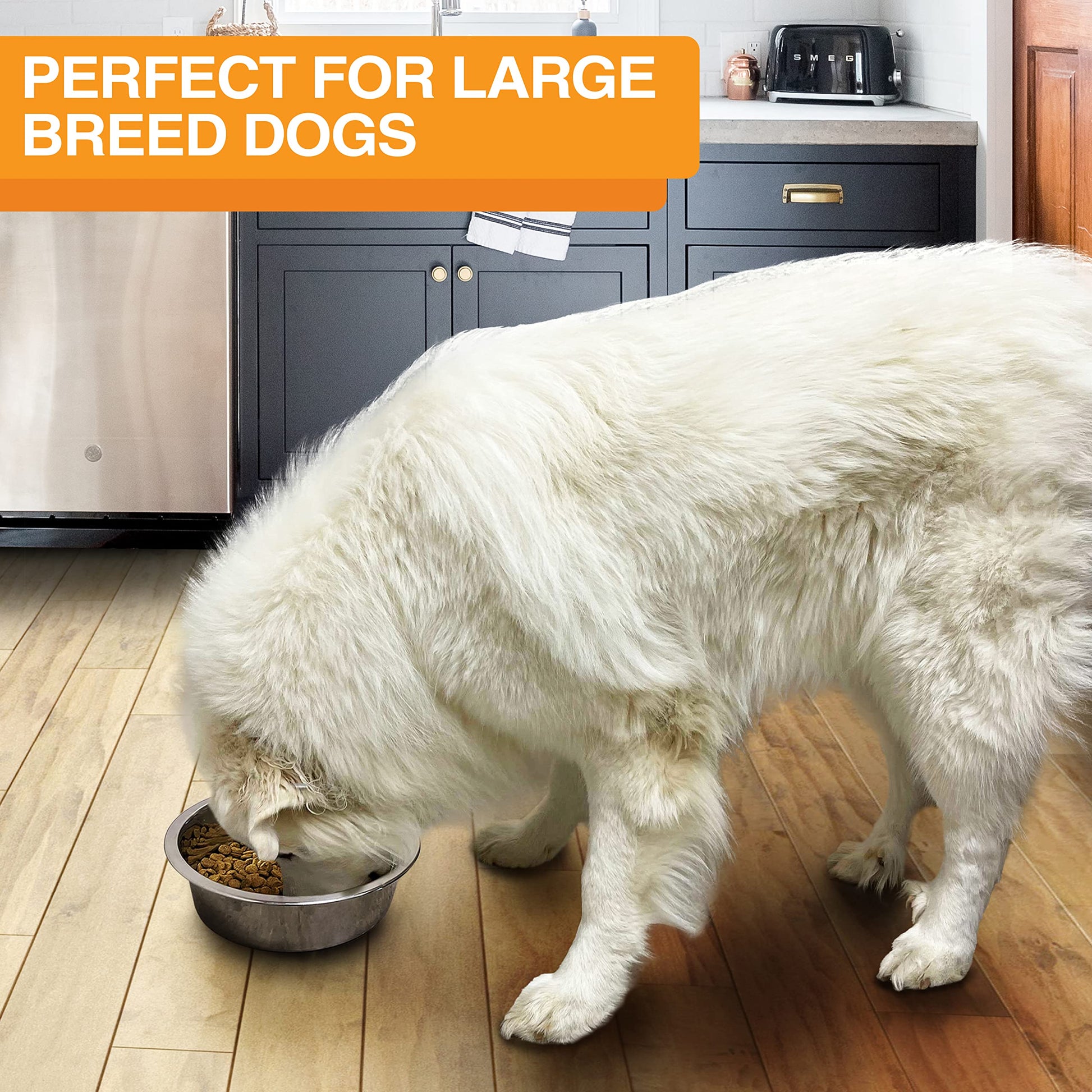 Cuencos de Acero Inoxidable Neater Pet Brands Extra Grandes para Perros y Gatos