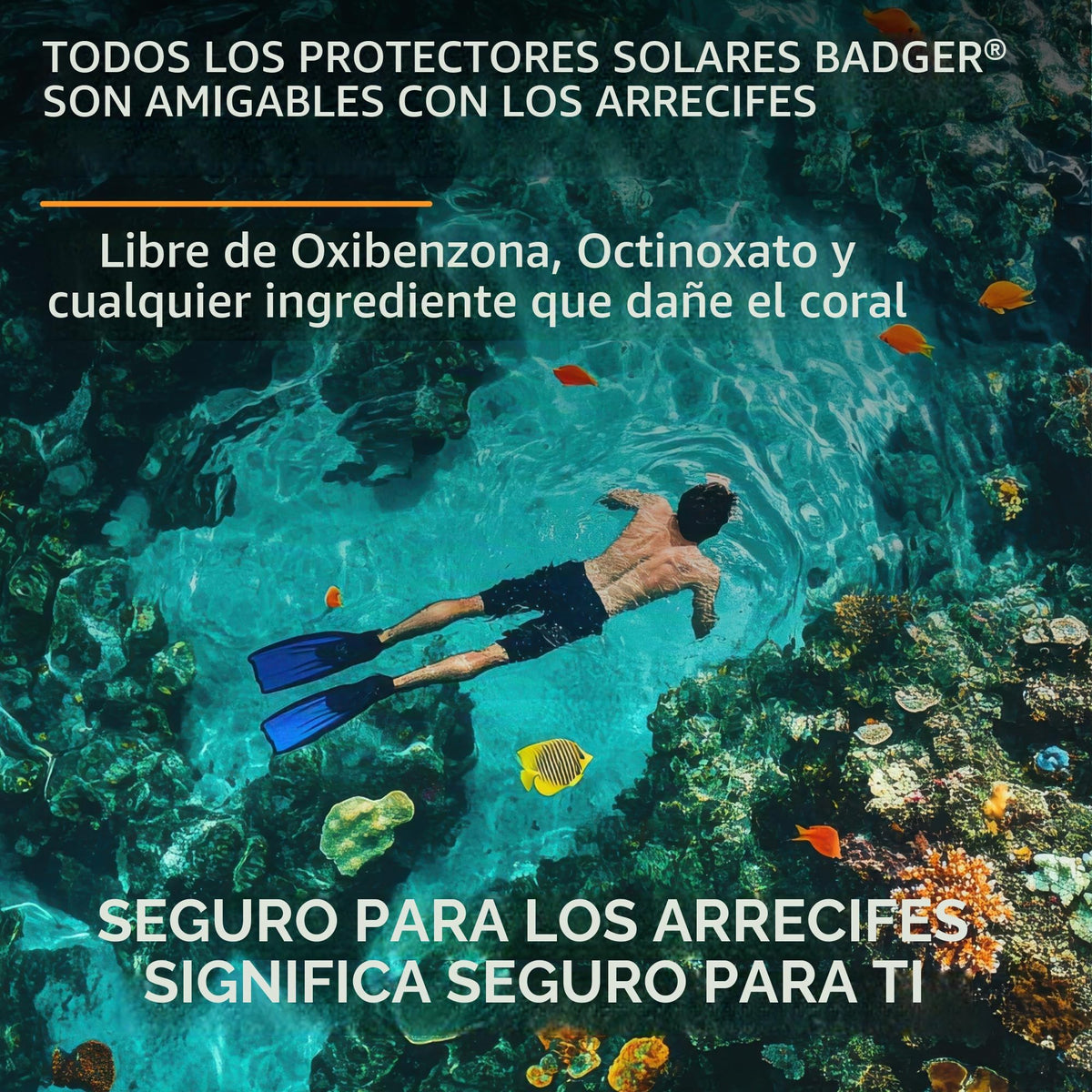 Badger Protector Solar Seguro Para Arrecifes, Sin Perfume, Fps 40, Mineral, 98% Orgánico, Zinc Resistente Al Agua, Aprobado Para Los Arrecifes De Hawái Y México, 85 Ml (2.9 Onzas Líquidas).