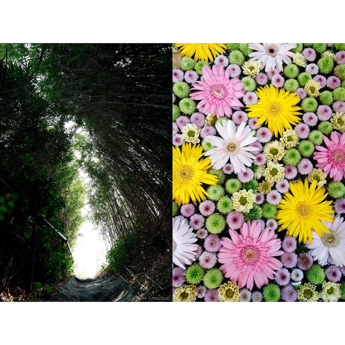 Lente Sigma 10-18mm F2.8 DC DN Canon RF Contemporary