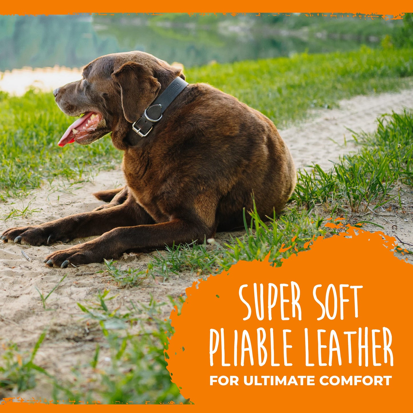 Mighty Paw- Collar de cuero para perro | Piel auténtica desgastada y una hebilla de metal fuerte. Súper suave para máxima comodidad. Aspecto de diseñador moderno para mascotas pequeñas, medianas, grandes y XL (marrón)