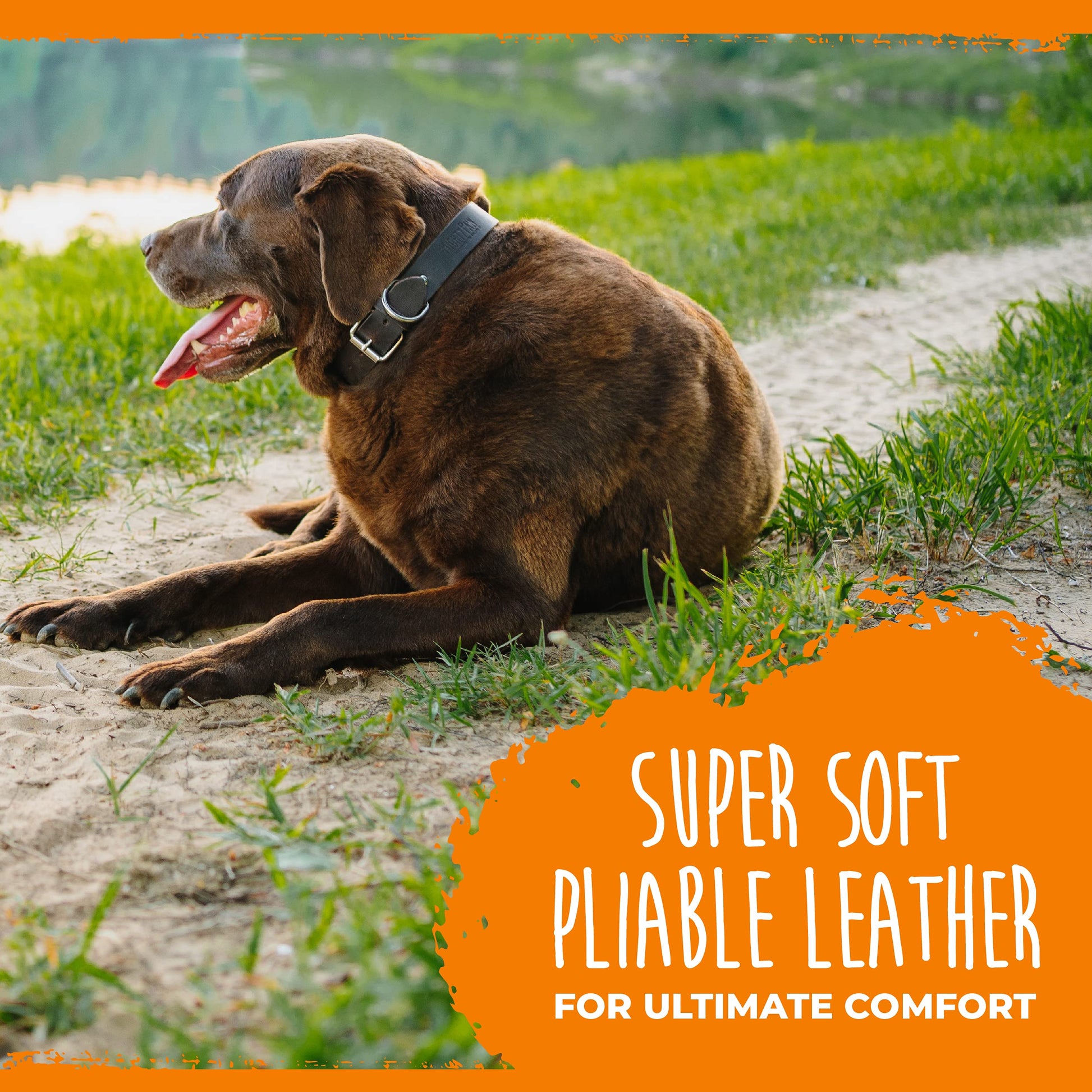 Mighty Paw- Collar de cuero para perro | Piel auténtica desgastada y una hebilla de metal fuerte. Súper suave para máxima comodidad. Aspecto de diseñador moderno para mascotas pequeñas, medianas, grandes y XL (marrón)