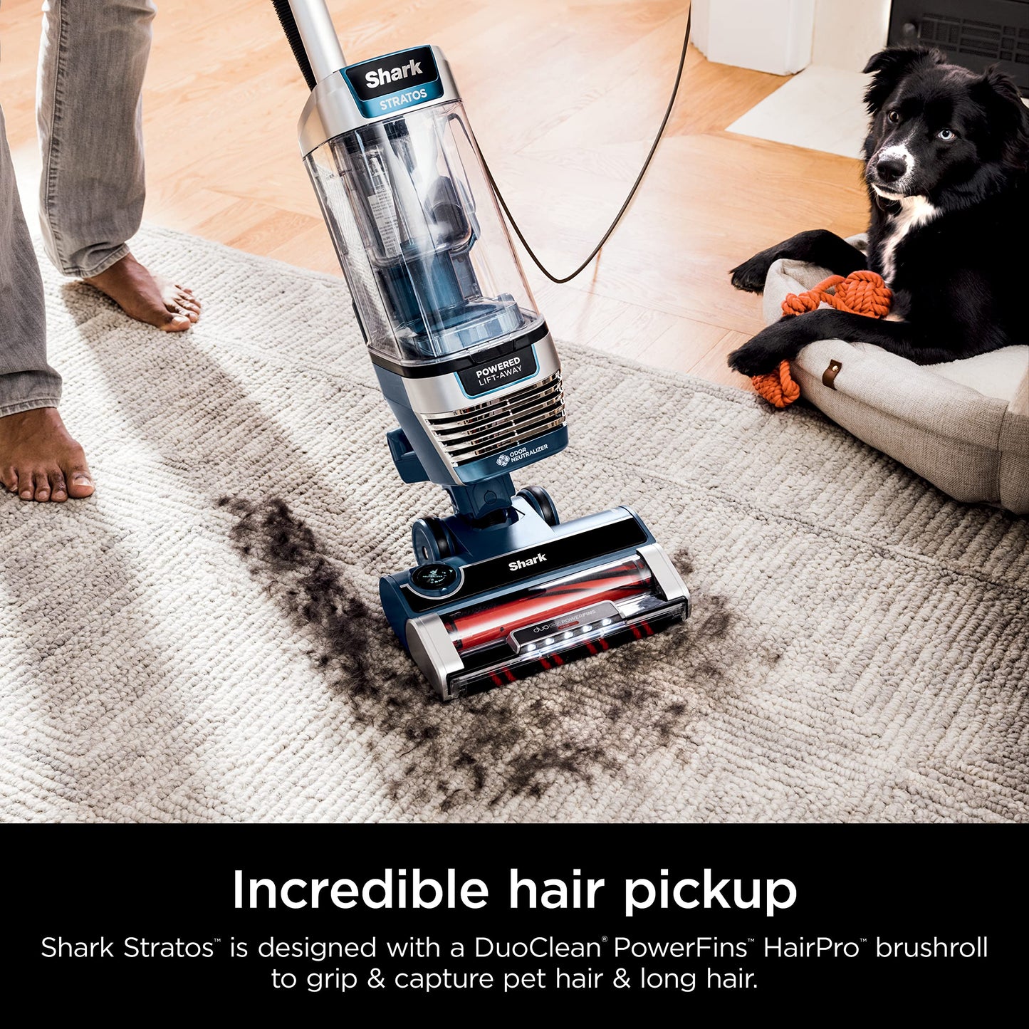 Shark Aspiradora Vertical, Stratos con DuoClean PowerFins, HairPro, Powered Lift-Away, Rodillo de Cepillo para Polvo autolimpiante y tecnología de neutralización de olores, Azul Marino, AZ3002