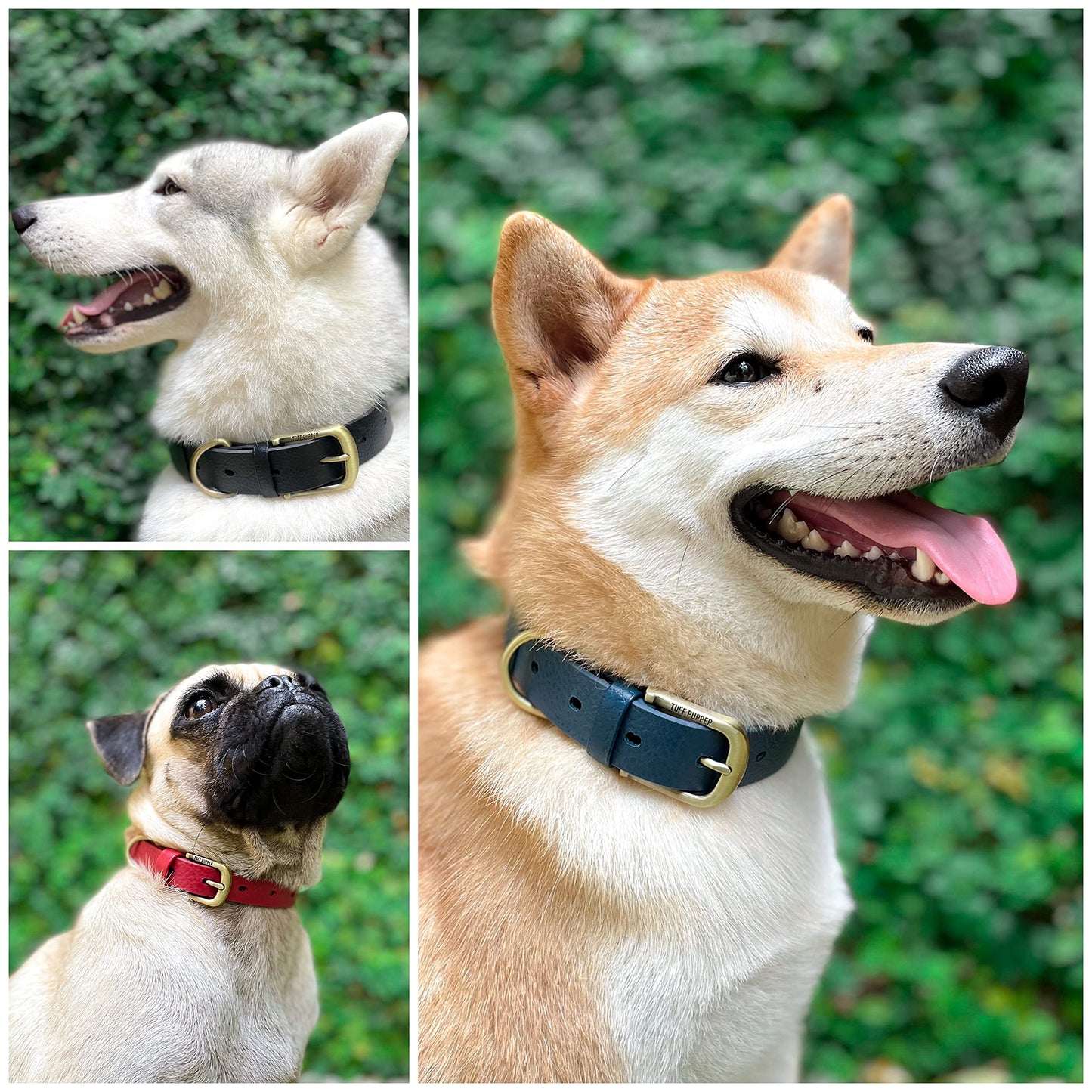 Tuff Pupper Collar para perro clásico 'Lifetime' resistente, más fuerte que el cuero, impermeable y sin olor, garantizado de por vida