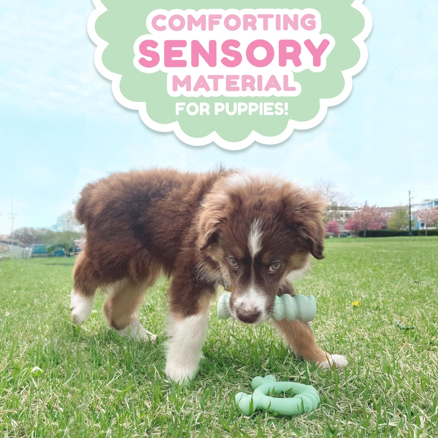 Anillo de Juguete Sensorial Nylabone Sabor a Pollo pequeño para Cachorros