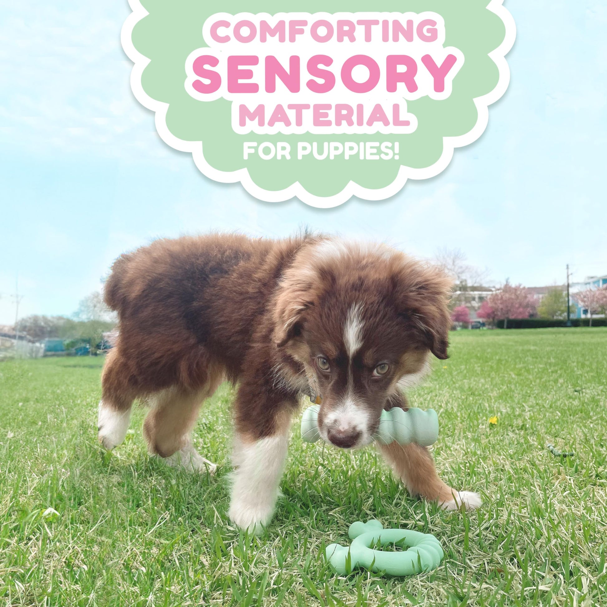 Anillo de Juguete Sensorial Nylabone Sabor a Pollo pequeño para Cachorros