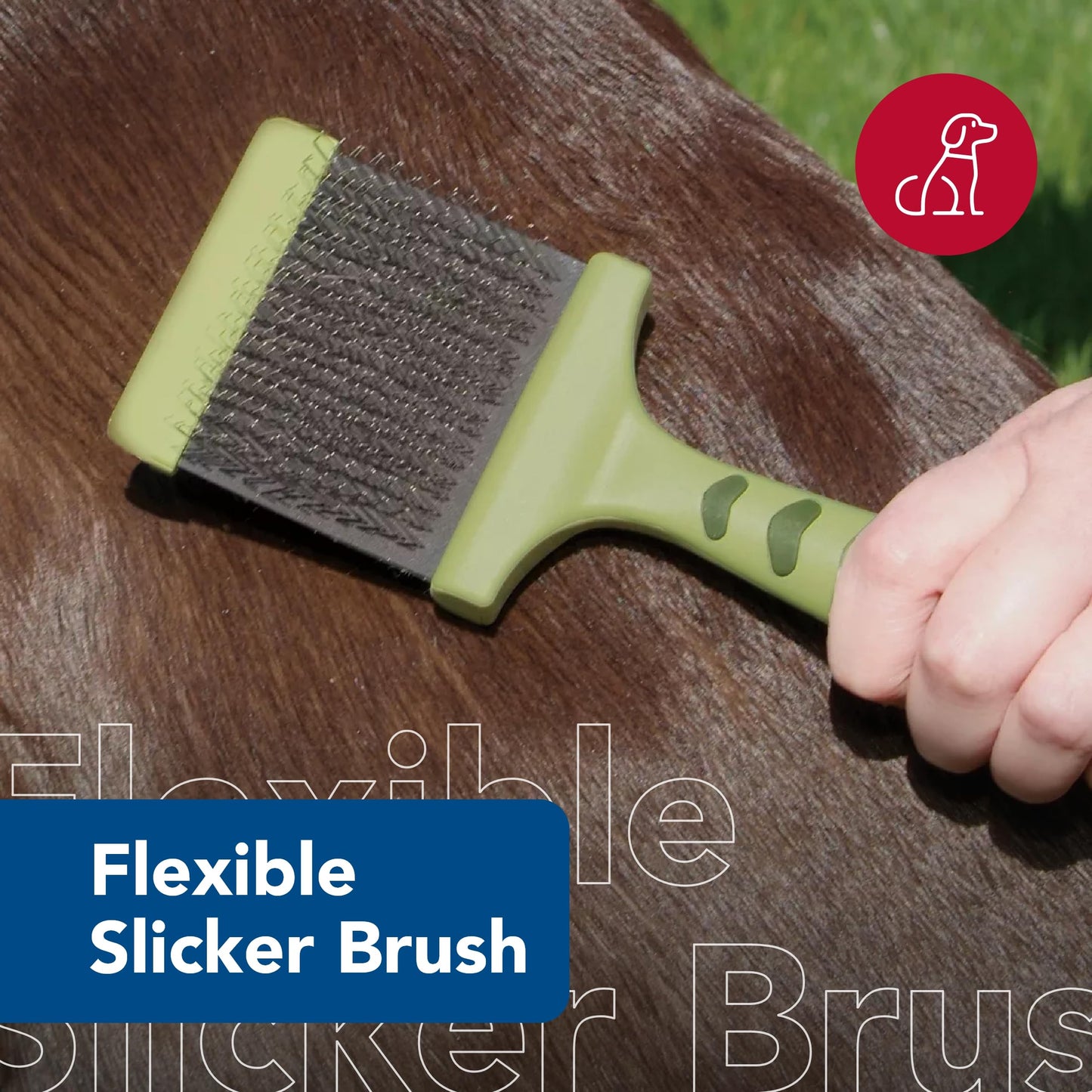 Coastal Pet Safari - Cepillo flexible para perros – Cepillo para perros para desprendimiento, rastrillo de capa inferior y cepillo de aseo para perros pequeños y medianos, pequeño