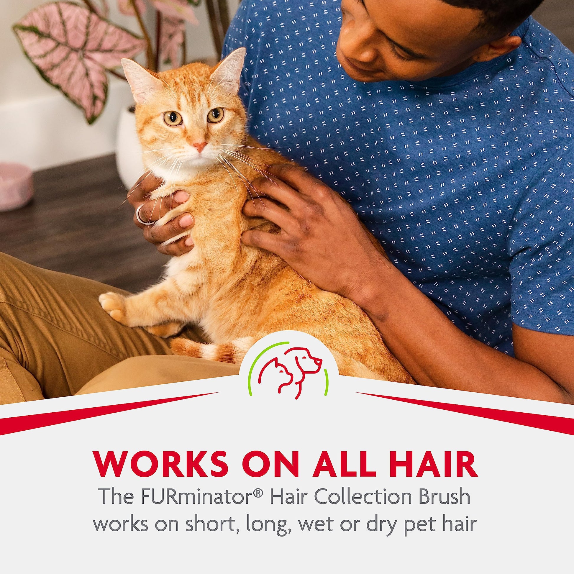 FURminator Hair Collection - cepillo para polvo de pelo gris, color puede variar