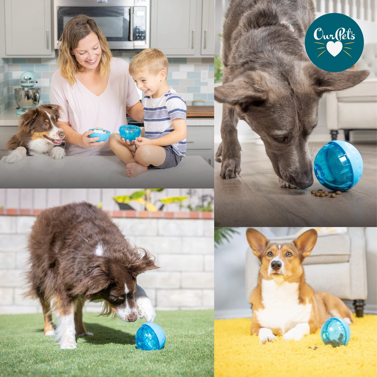 Juguete Interactivo OurPets IQ con Dispensador de Comida 10 cm para Perro