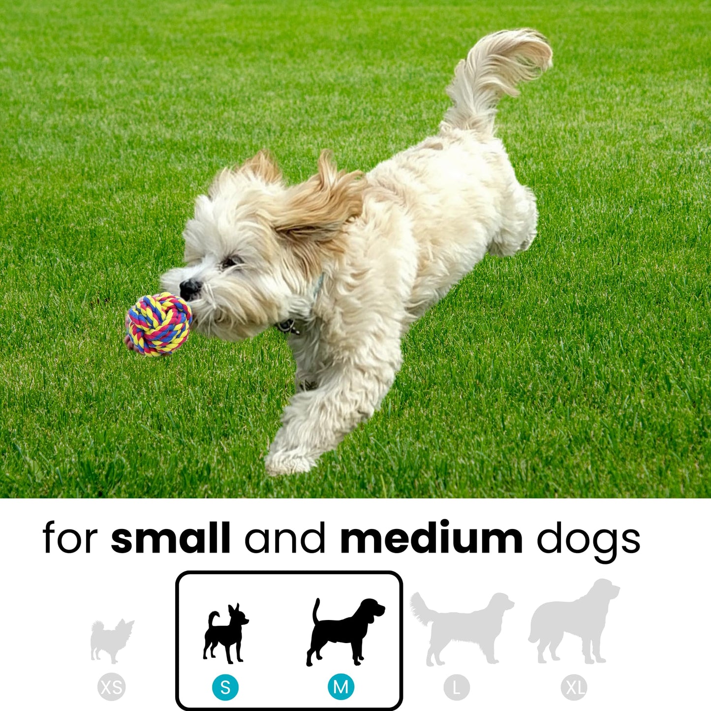 Juguetes De Cuerda Para Mascotas Otterly Pets Azul Conjunto De 4 Para Perro Pequeño A Mediano