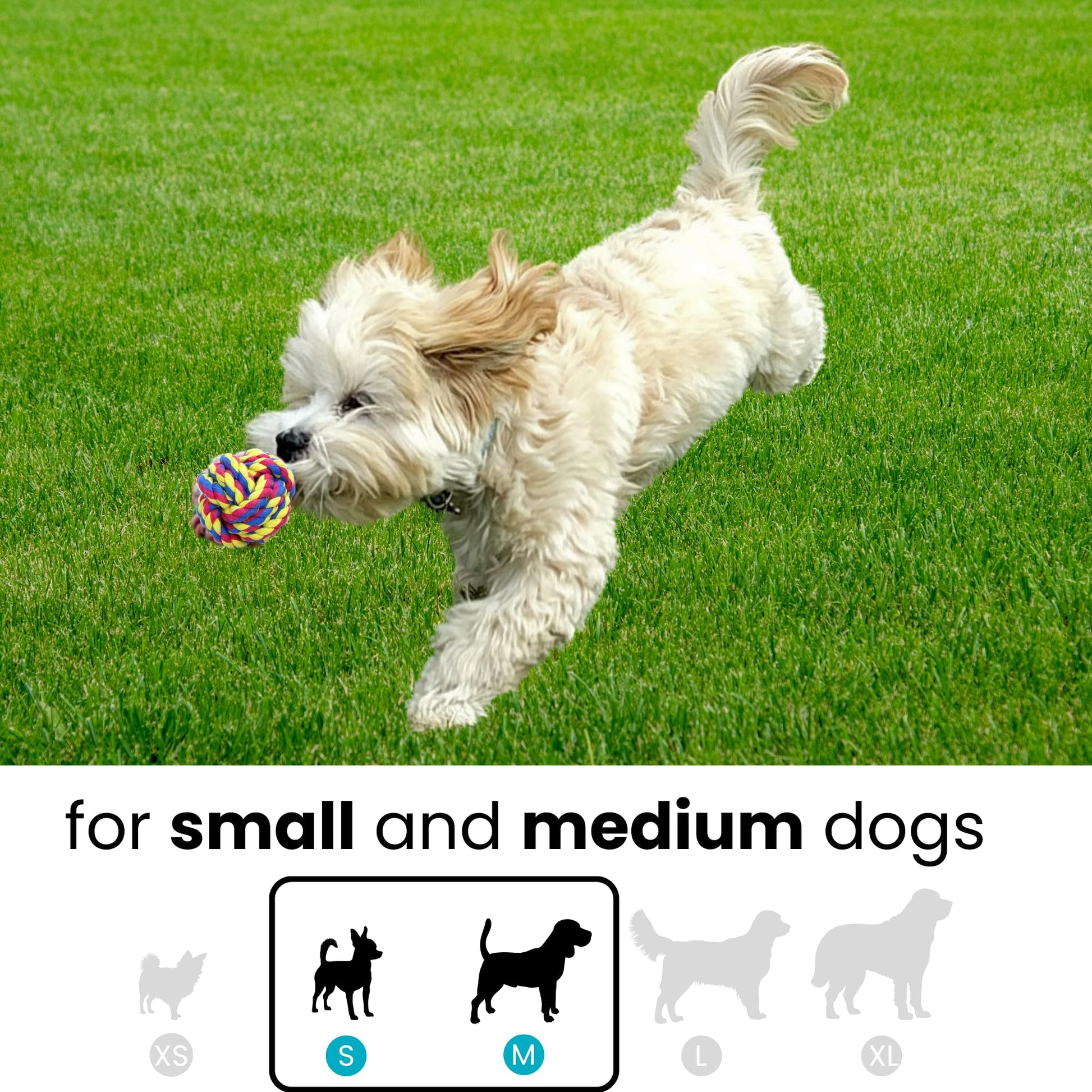 Juguetes De Cuerda Para Mascotas Otterly Pets Azul Conjunto De 4 Para Perro Pequeño A Mediano