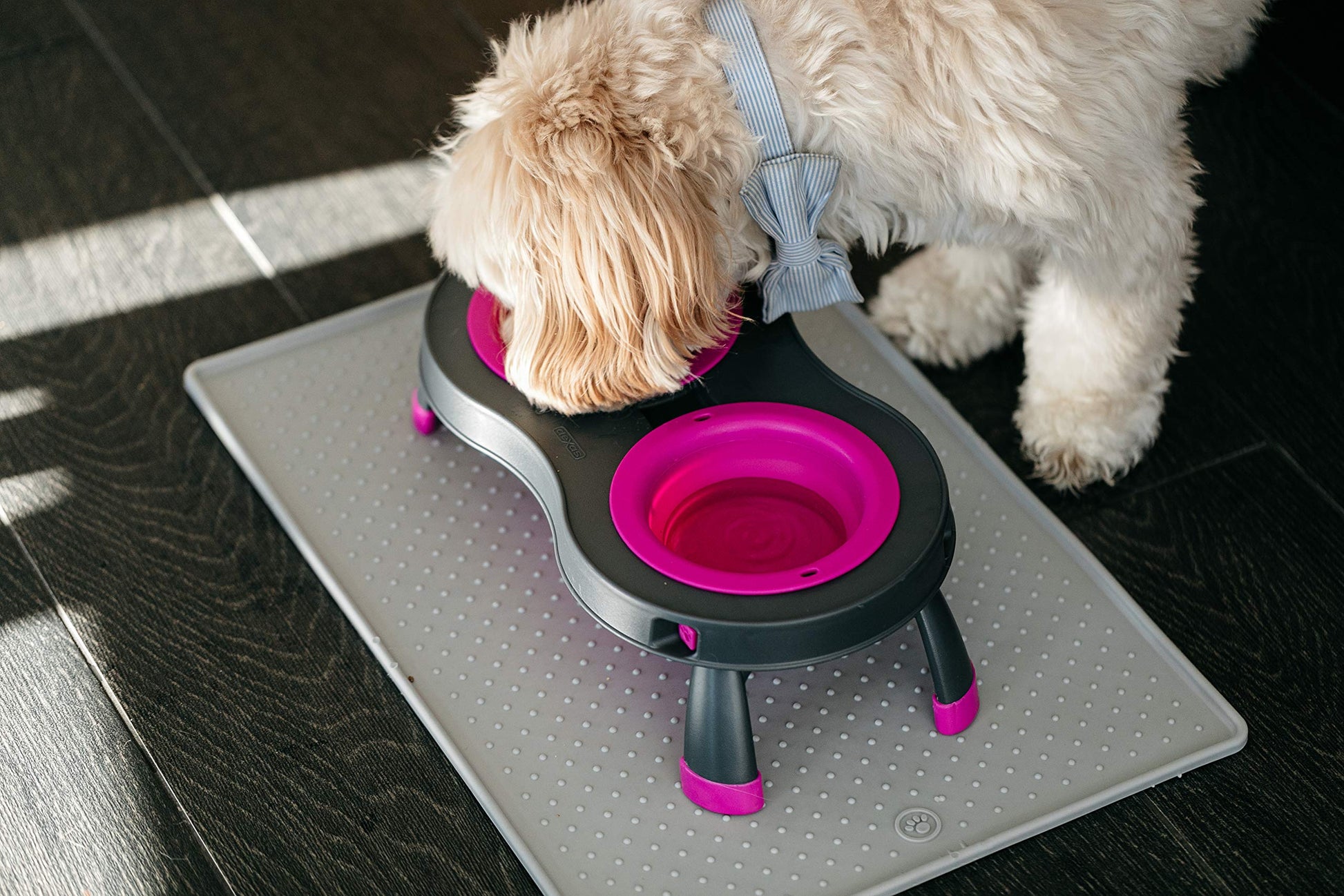 Dexas Pets - Comedero para Mascotas Doble Elevado, 1 Taza, Color Fucsia