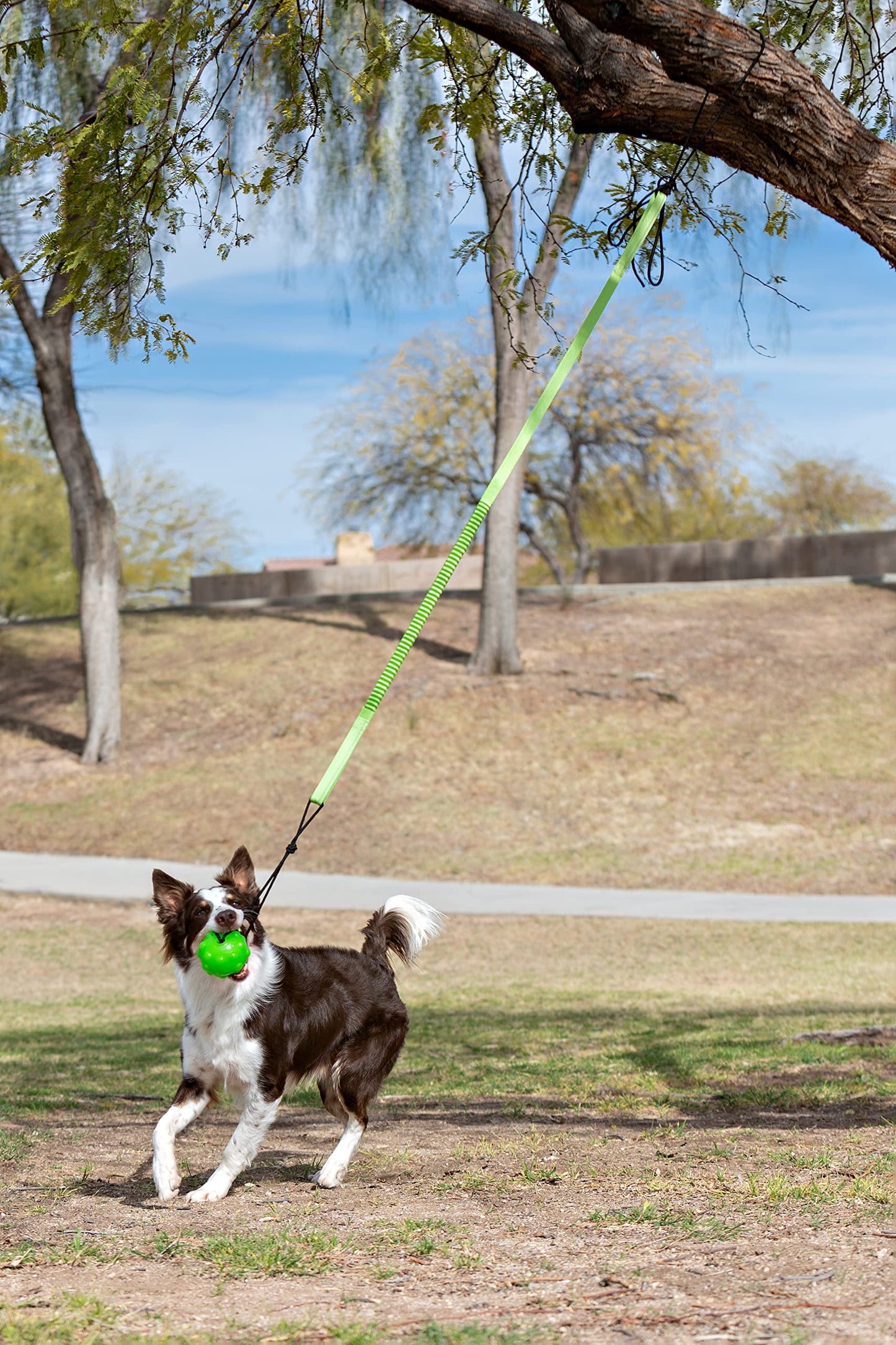 Juguete para Perros Jolly Pets Verde Interactivo de Jalar