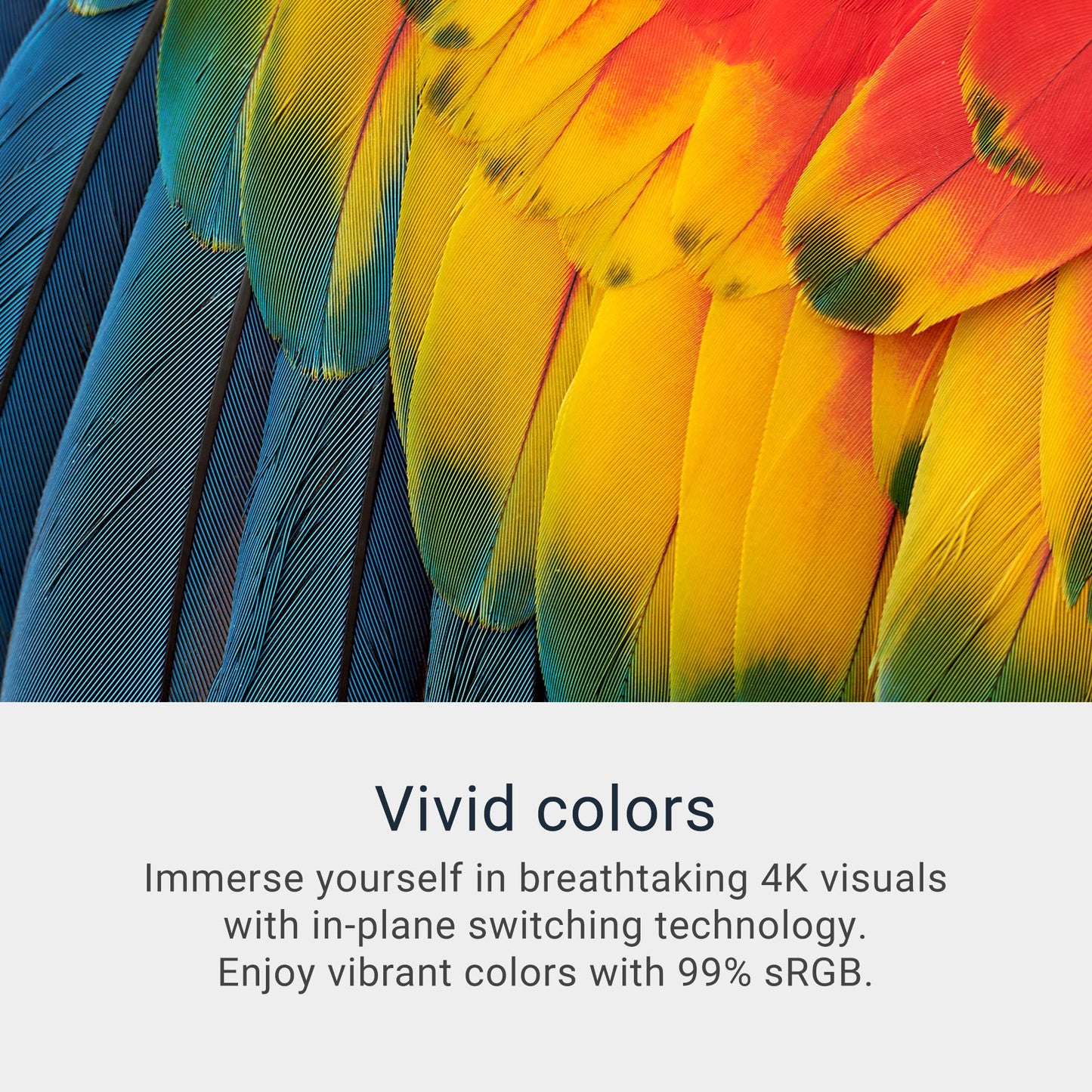 Monitor Dell 27 Plus 4K - S2725QS - visualización 4K de 27 pulgadas (3840 x 2160) 120Hz 16:9, panel IPS, AMD FreeSync Premium, sRGB 99%, altavoces integrados, relación de contraste 1500:1, Comfortview