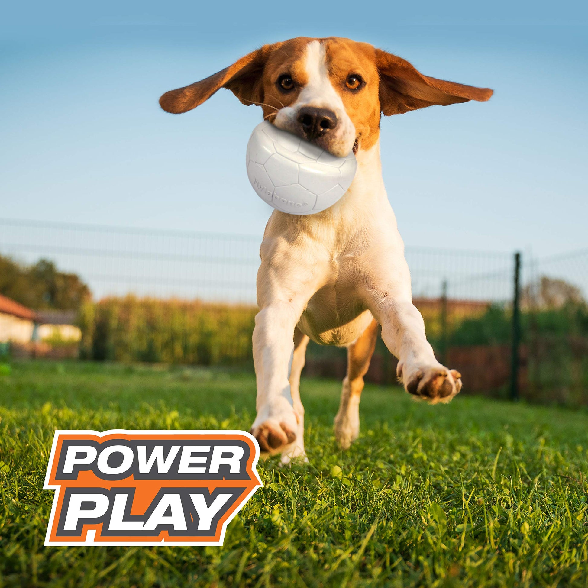Nylabone Juguete Power Play Soccer Ball