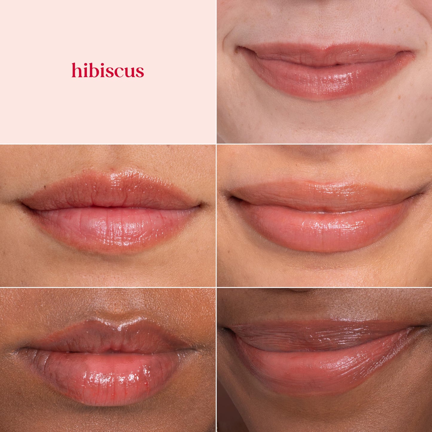 Bálsamo labial tintado natural Burt's Bees, Hibiscus, 2 unidades