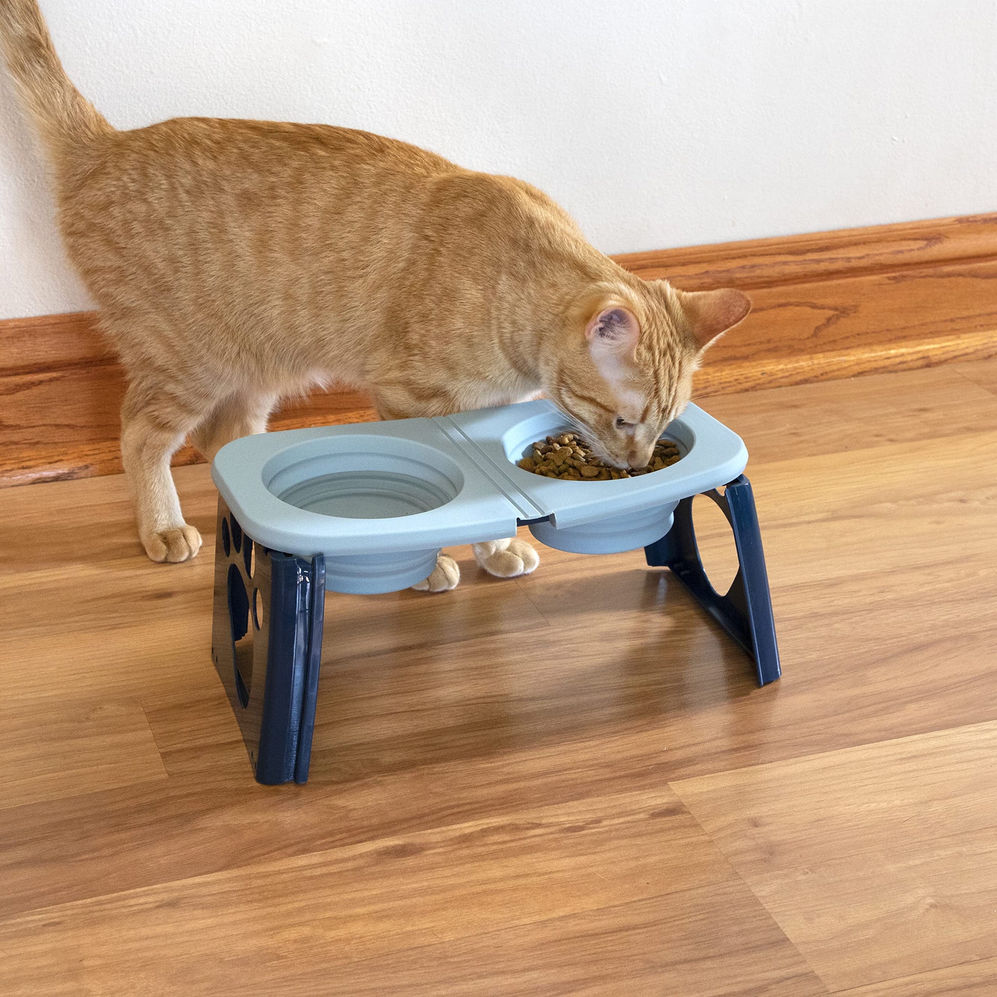 Cuencos Plegables SPORT PET elevados para Viaje