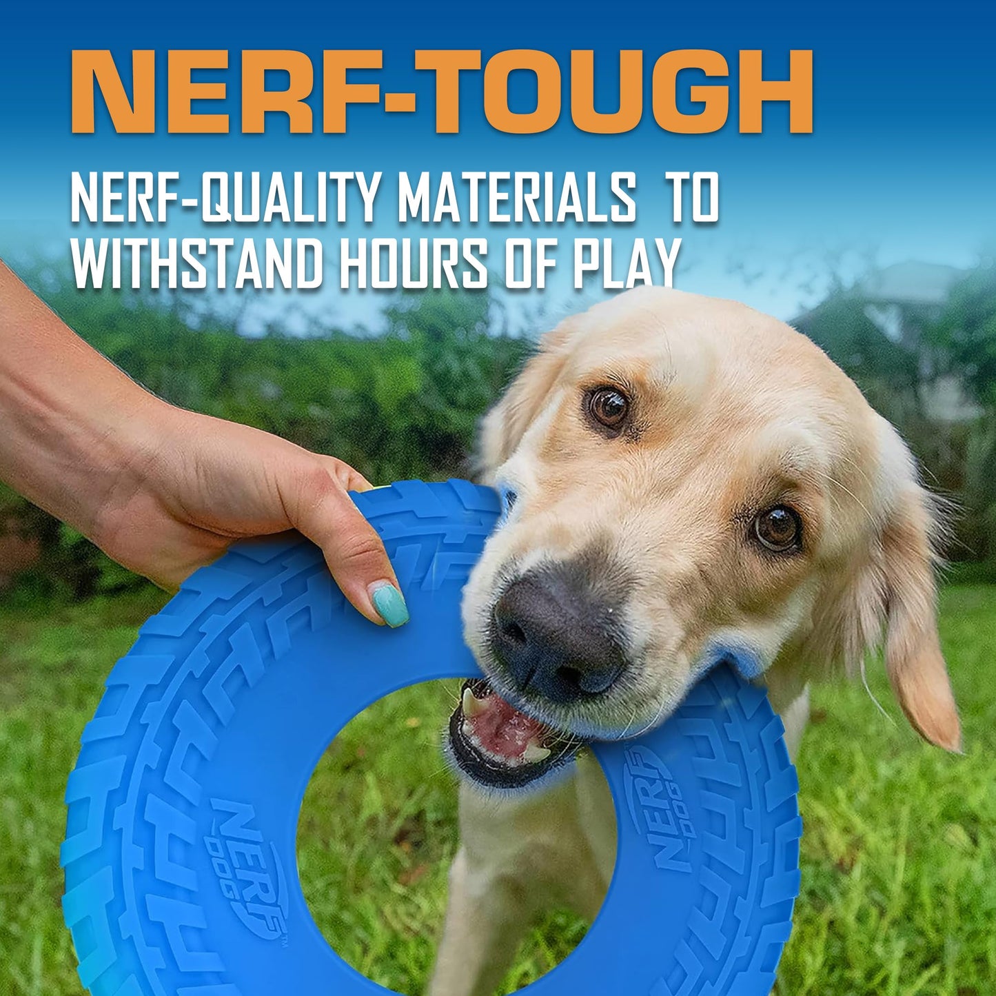 Frisbee Nerf Dog Azul Flotante y Duradero para Perros Razas Medias/Grandes