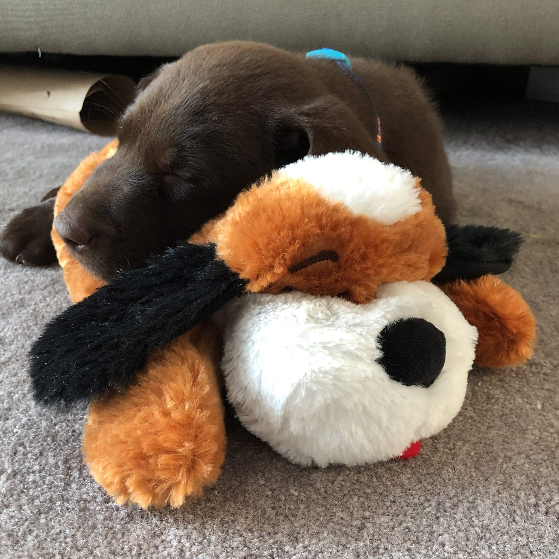 Juguete Comportamental Smart Pet Love Brown and White