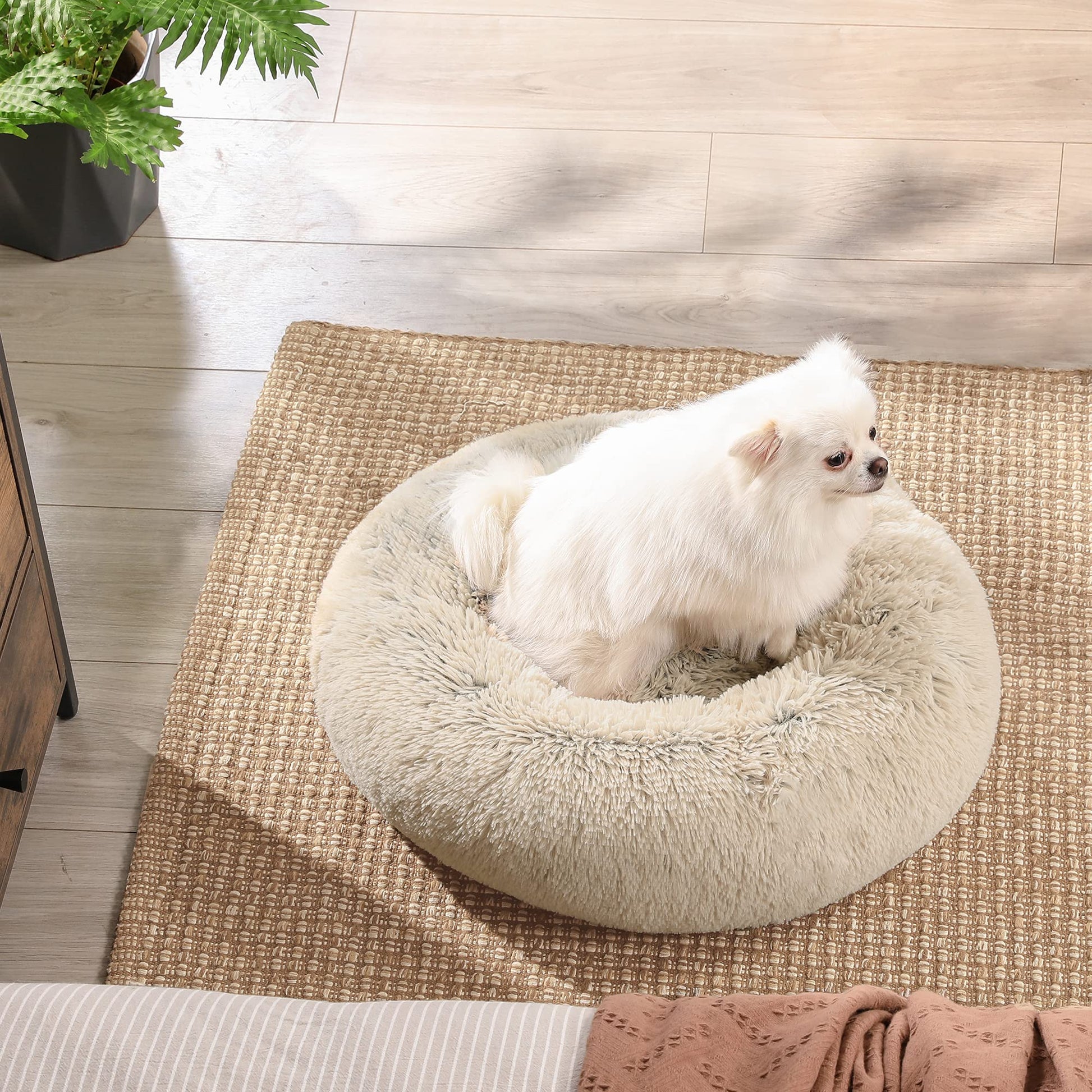 Feandrea Cama de Perros, Cama para Mascotas, Diámetro de 50 cm, Cojín Central Extraíble y Lavable, Alfombra de Felpa, Caqui Ombré MPGW037S01