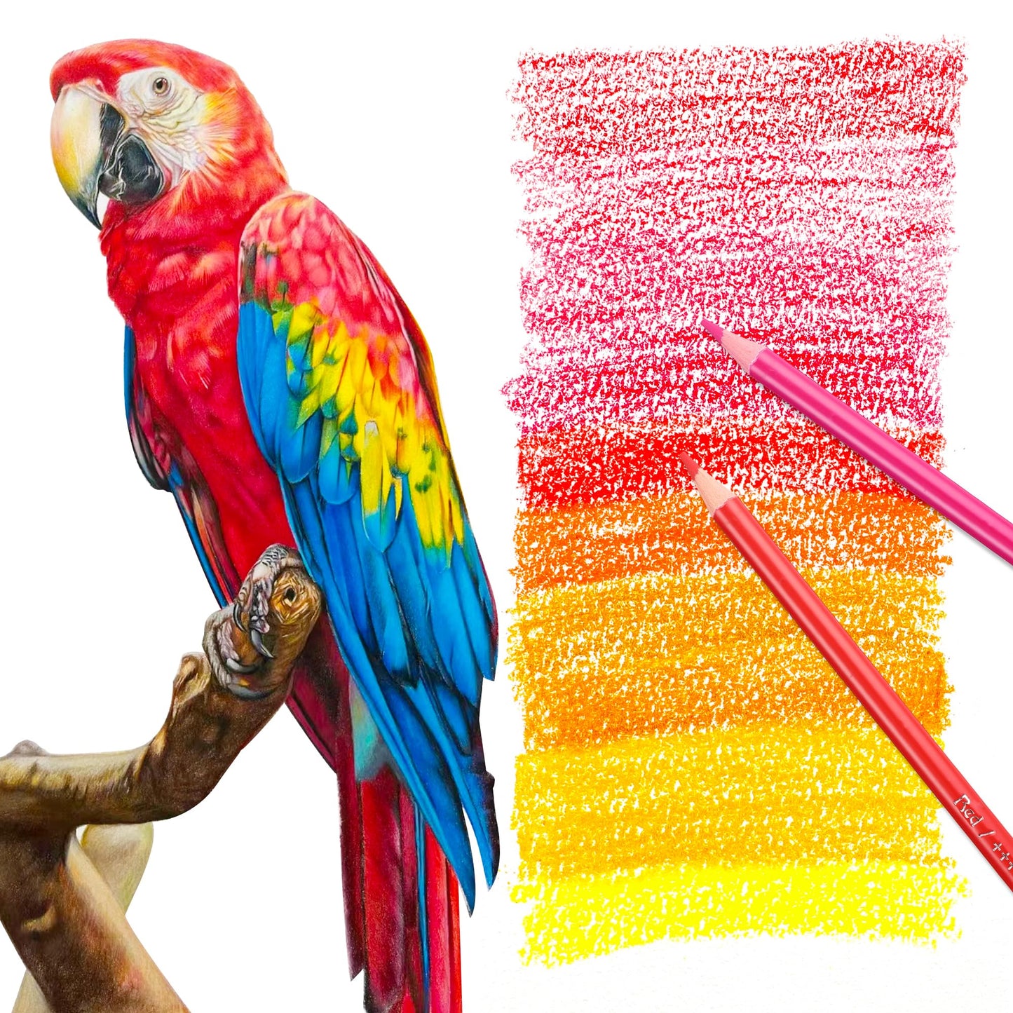 HIFORNY - Juego de 80 lápices de colores para adultos, 72 colores con extras, núcleo suave de artistas, lápices de dibujo, suministros de manualidades para adultos