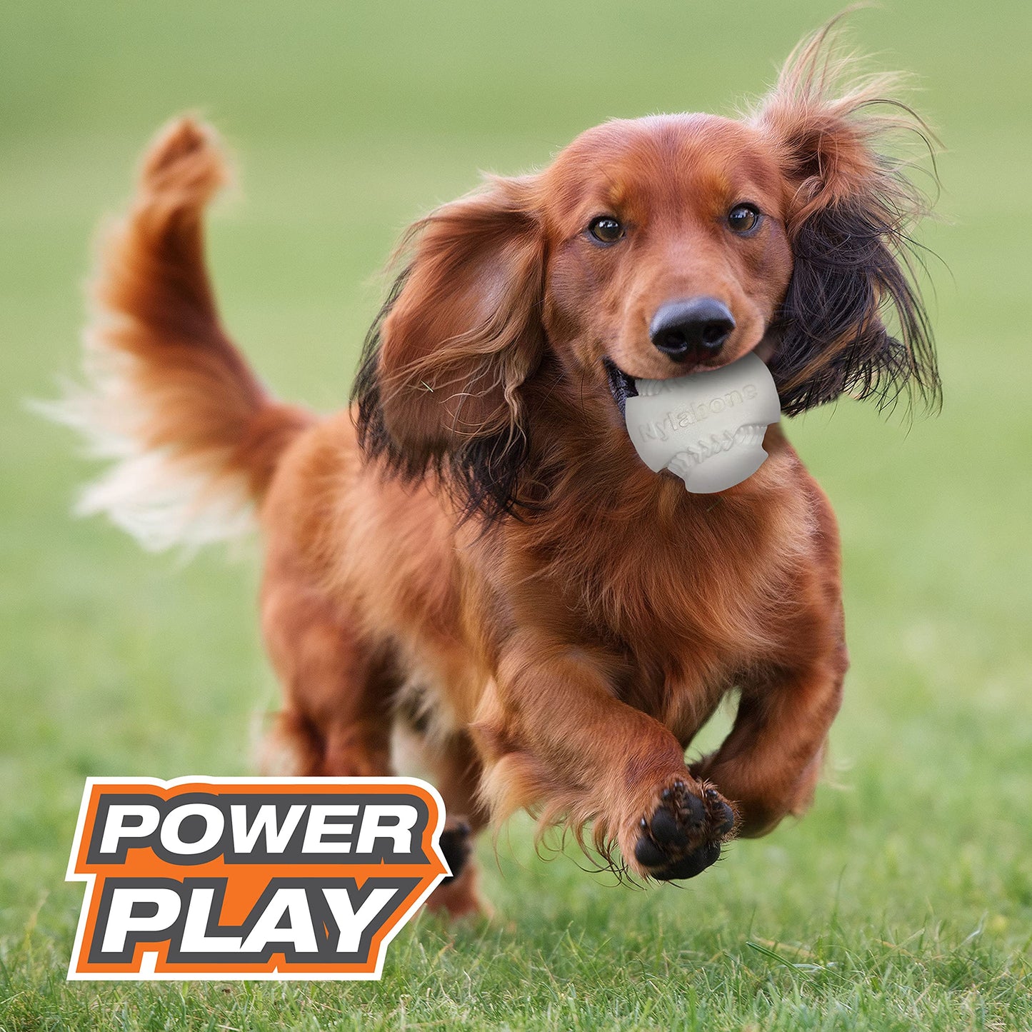 Juguete Nylabone Power Play Baseball