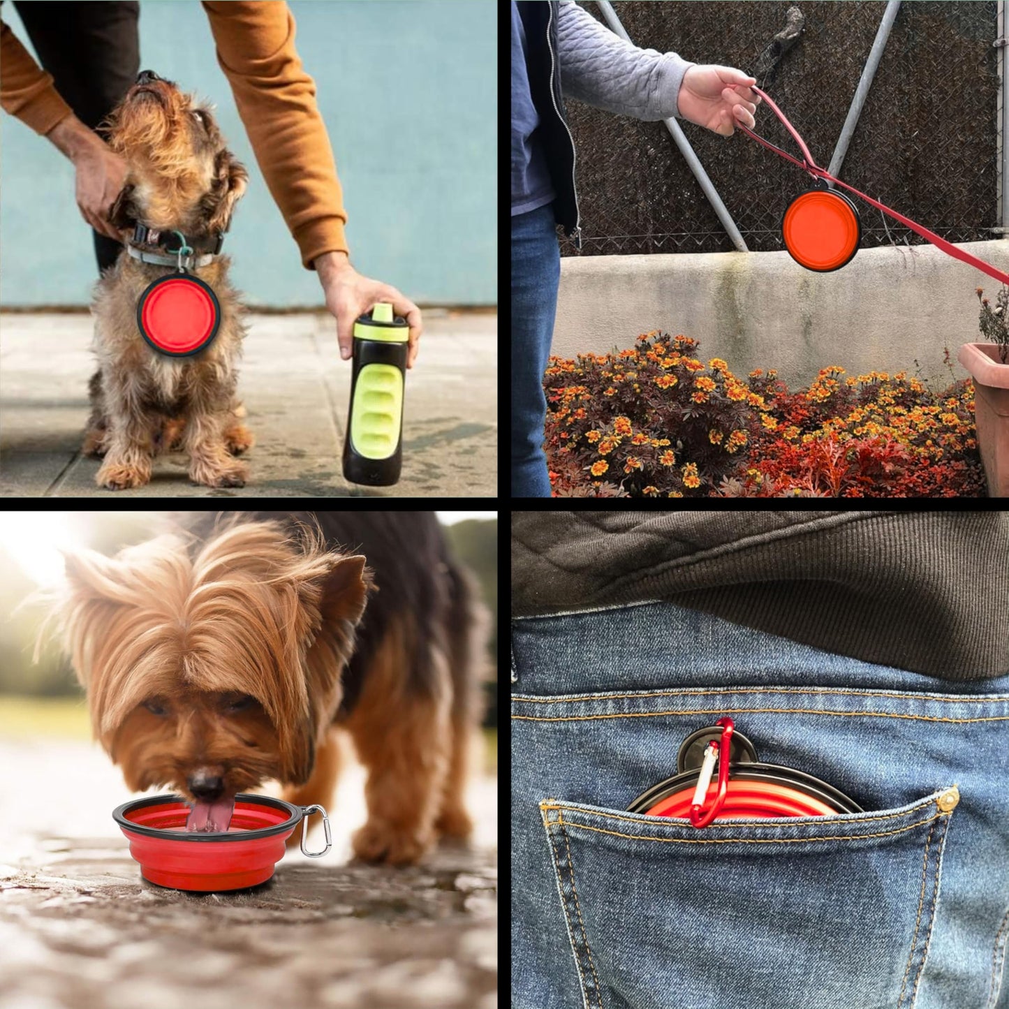 GlobalUP Plato para Perro, Bebedero para Perro. Contenedor para croquetas Plegable. Tazon para alimento y Agua para Mascotas retractil Gato y Perro, fácil de Limpiar. (Rojo, S/M)