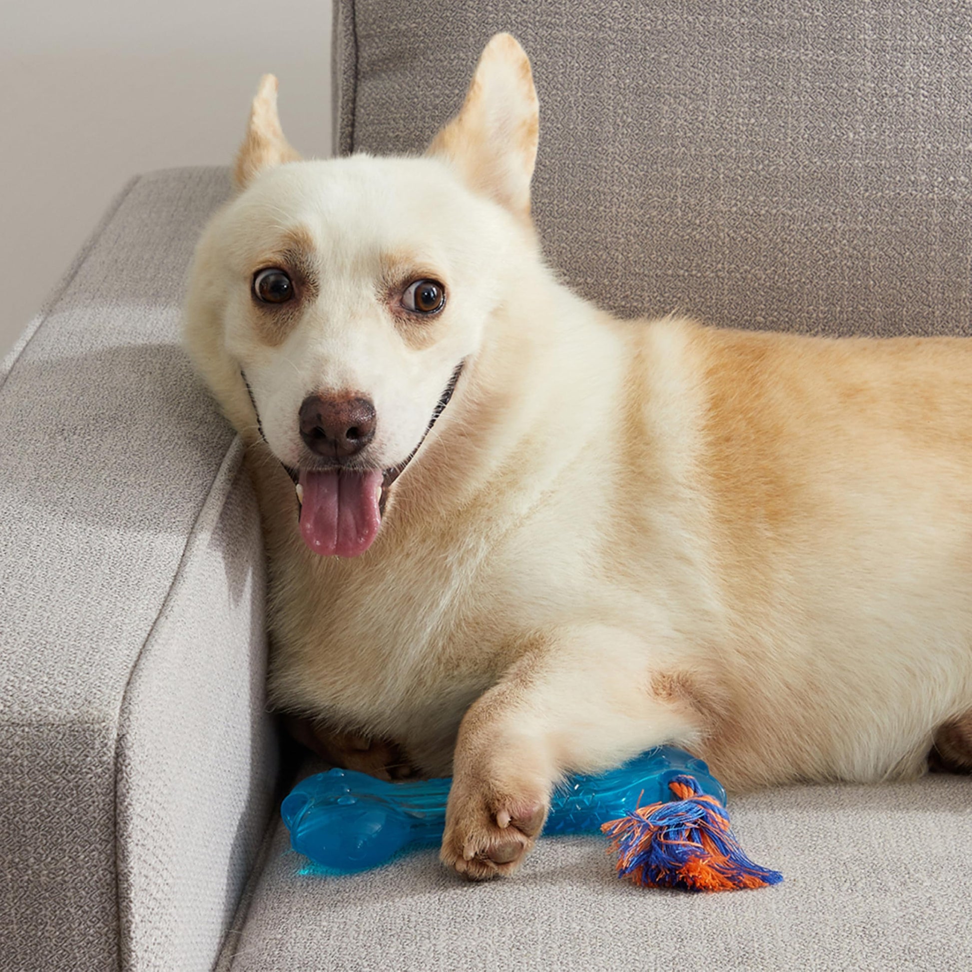 Juguete para Mascotas Petstages Orka Hueso 230 Azul