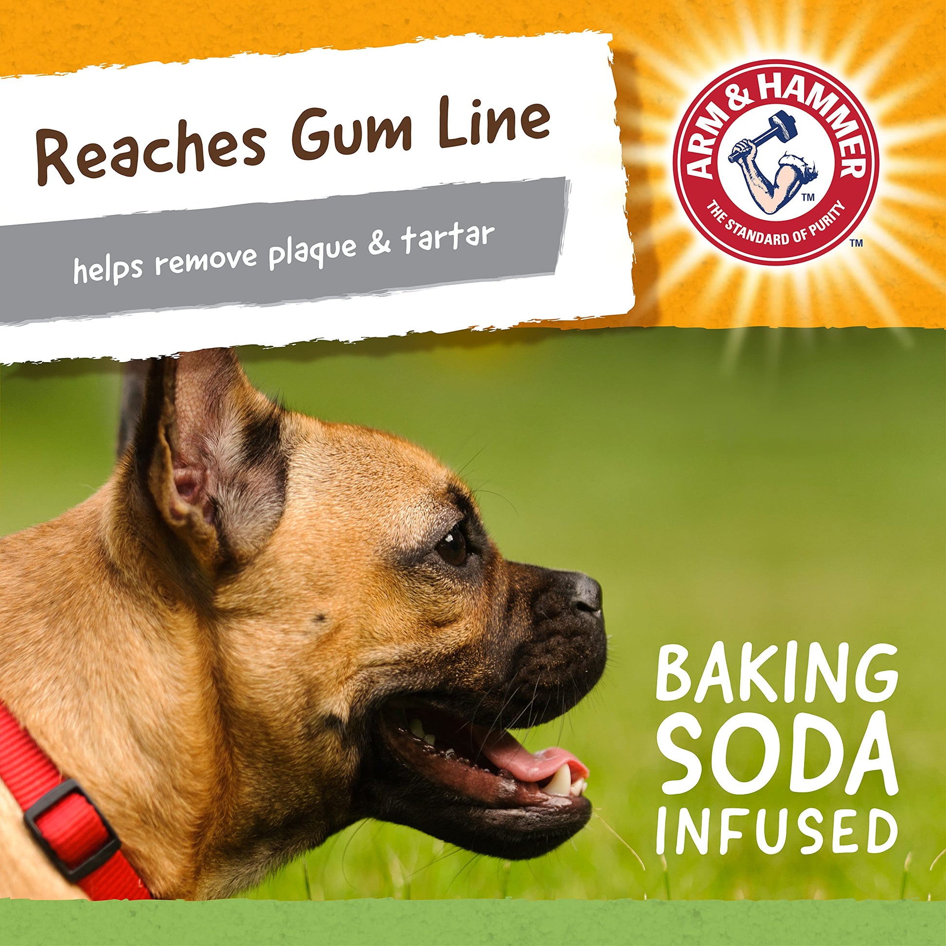 Arm & Hammer, Juguete para Perro Mini Cocodrilo de 5.2"