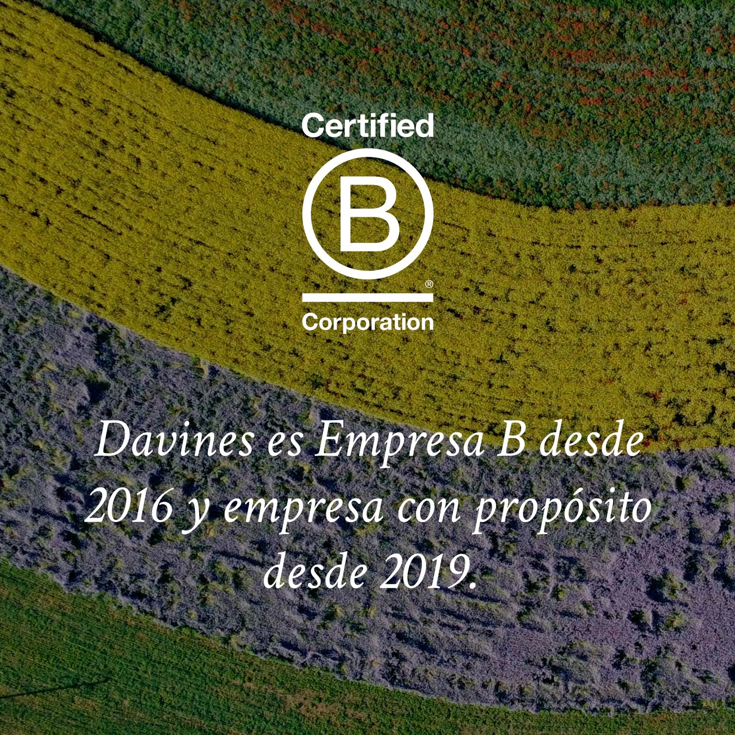 Davines OI All In One Milk | Tratamiento multibeneficios para hidratación y suavidad extrema |135 m