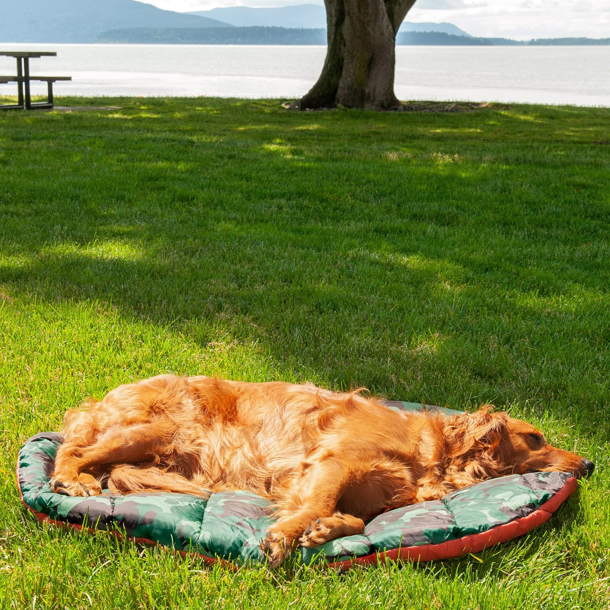 Furhaven Large Dog Bed Trail Pup Travel Pillow Mat w/Stuff Sack, Washable - Paprika/Camo-Paw, Large