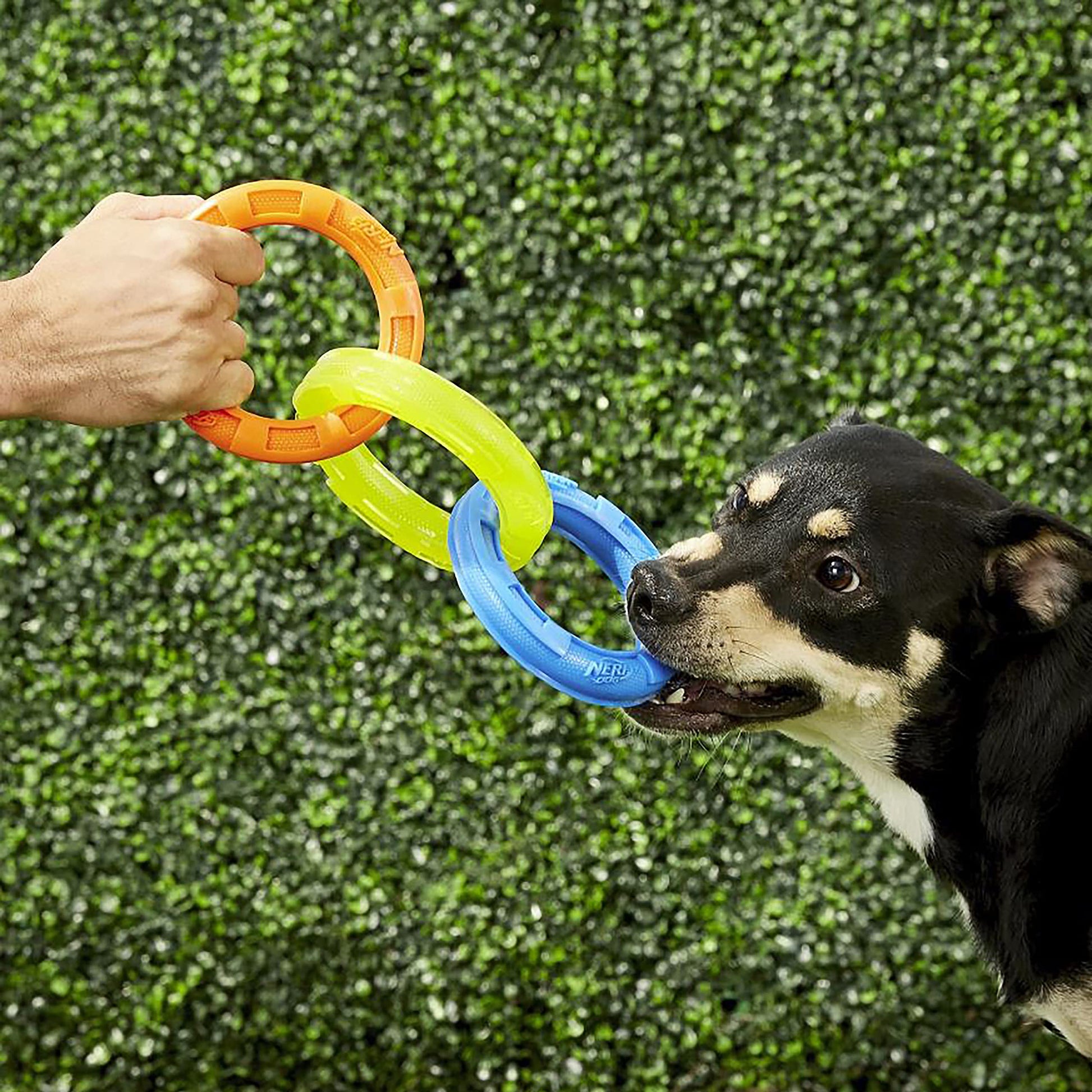 Remolcador de 3 Anillos Nerf Dog TPR