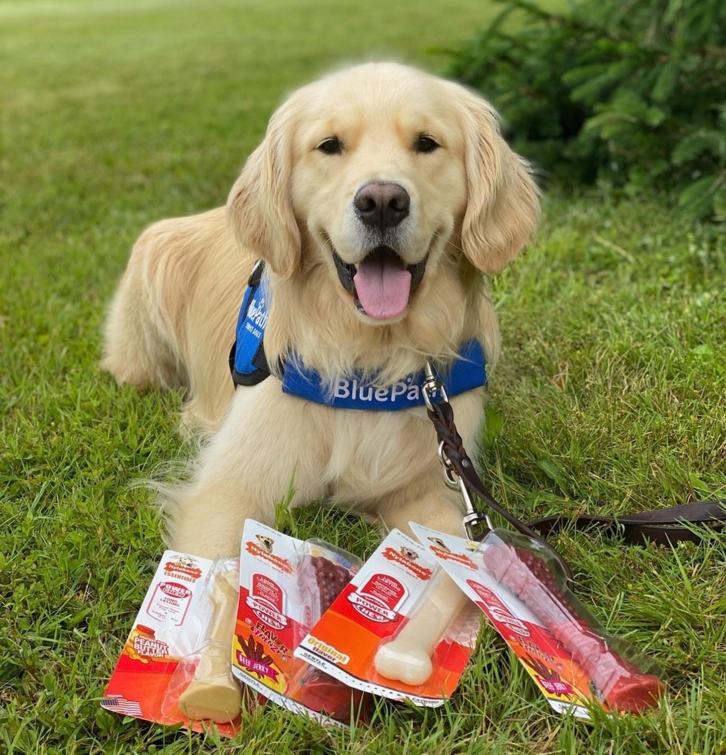 Juguete Masticable Nylabone Original Duradero para Perros Grande/Gigante