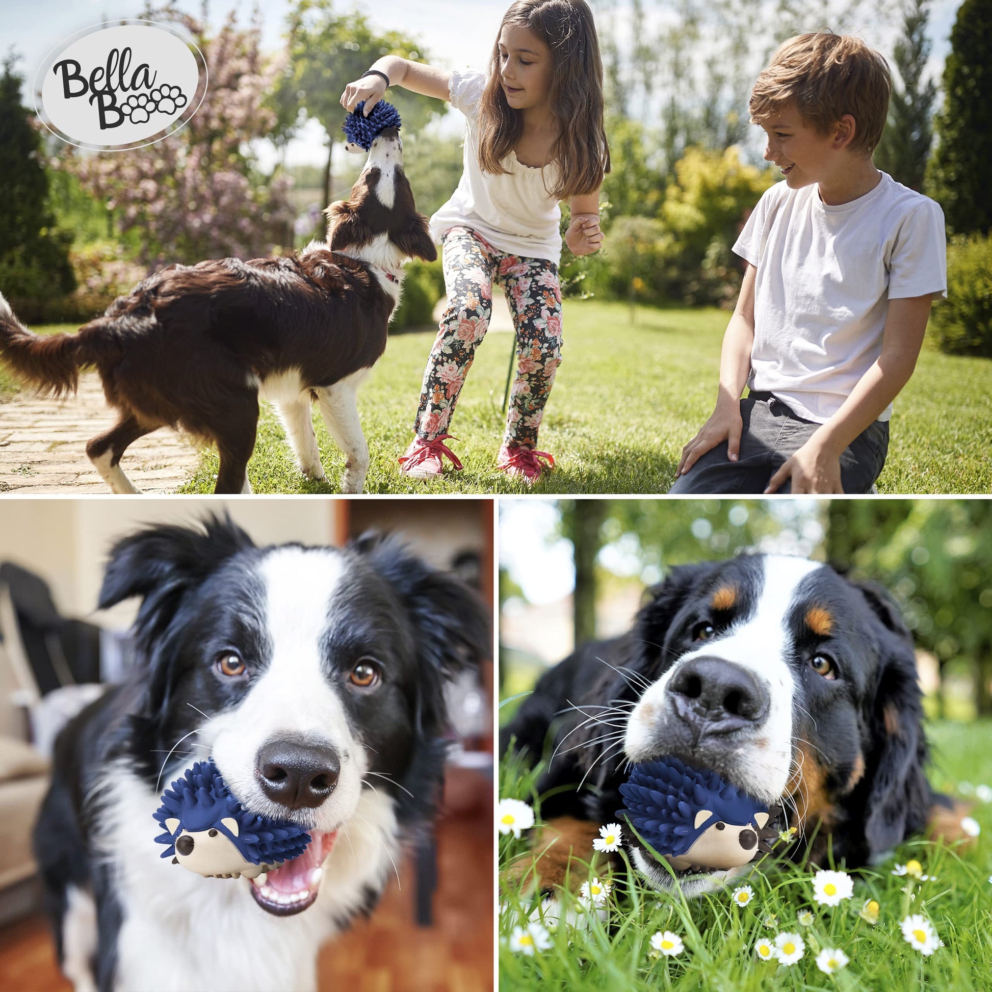 BellaBoo Pets - Juguete interactivo para perros para masticadores fuertes – Freddy The Hedgehog todo en uno + dispensador de alimentos lento rompecabezas de coeficiente intelectual para perros + juguete dental para masticar perros de raza mediana y grande